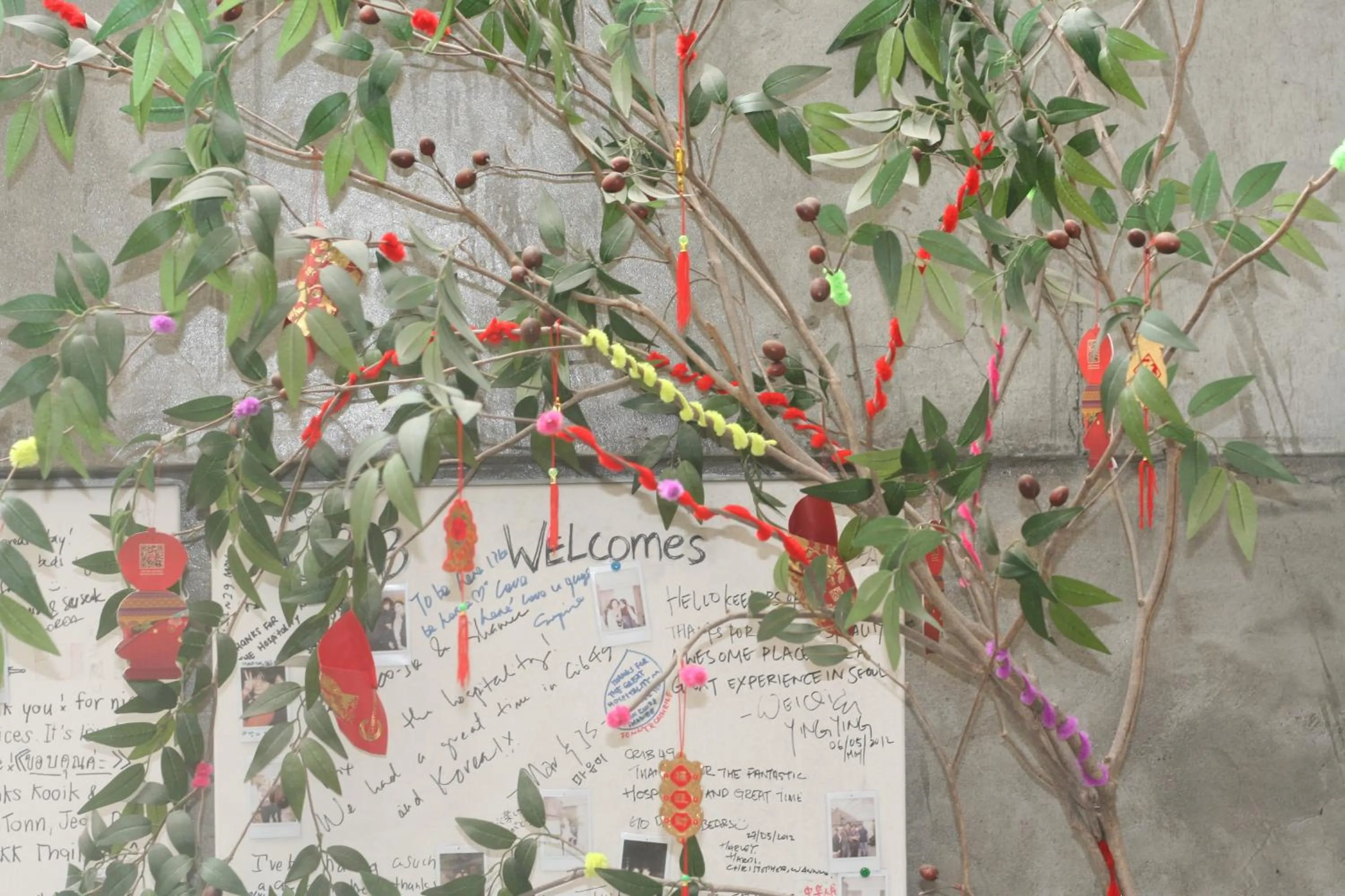 Other in Crib 49 Guesthouse - Foreigner only