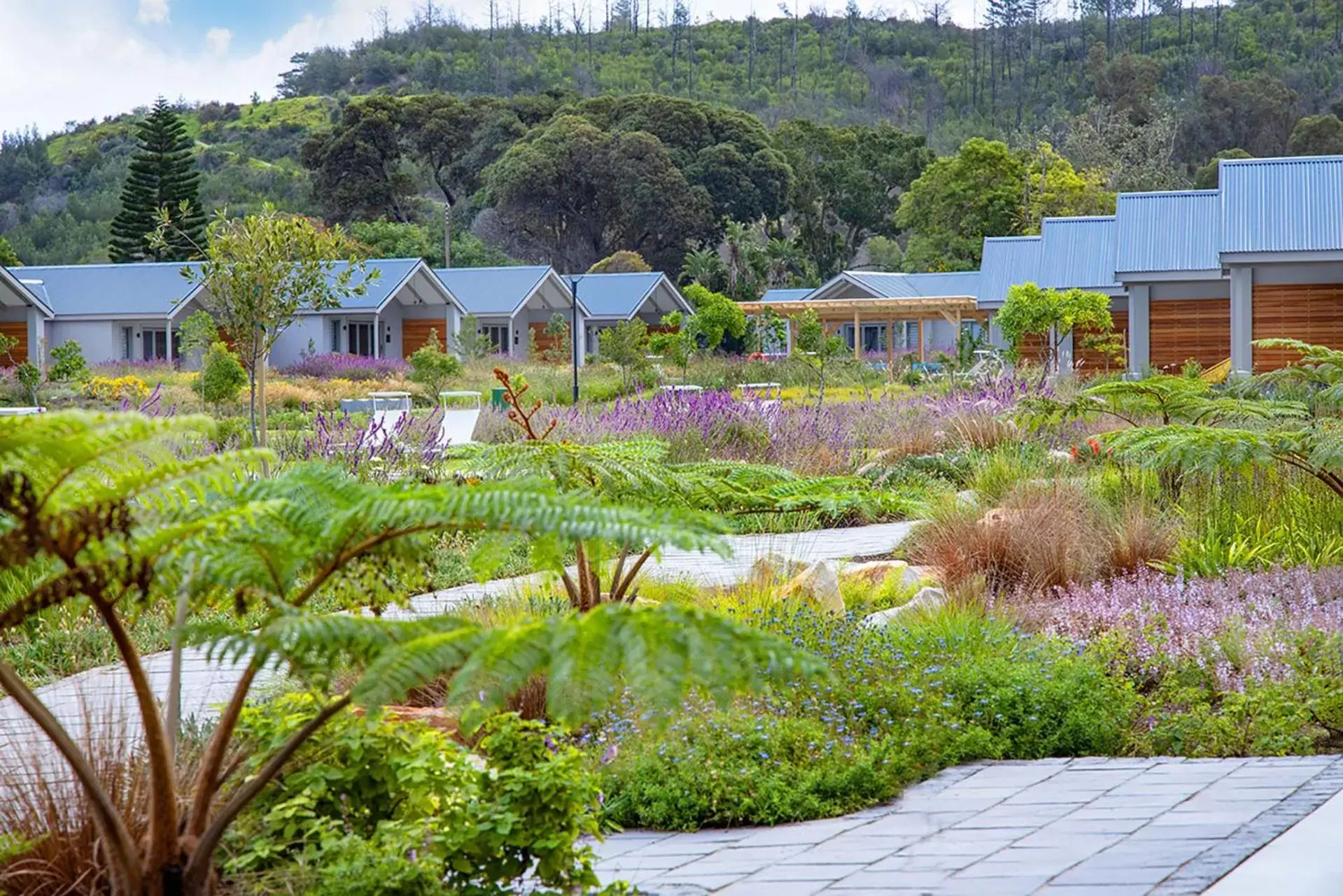 Garden in Knysna Hollow Country Estate