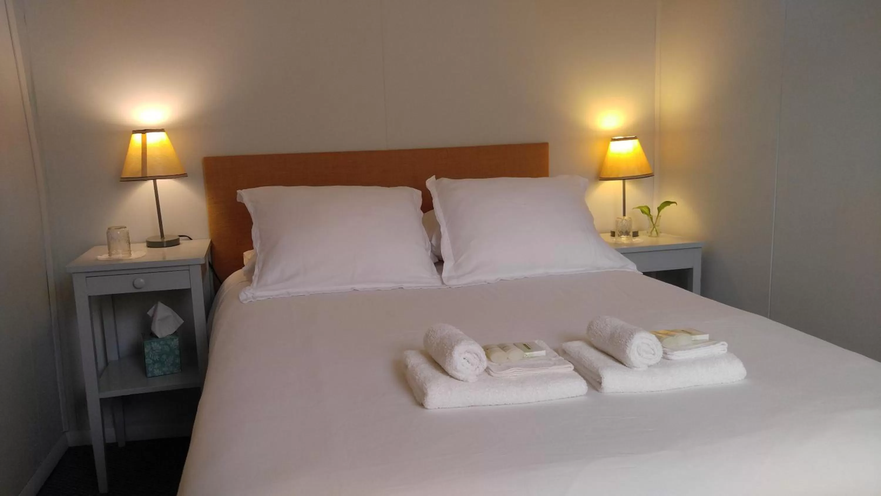 Bathroom, Bed in Pine Hill Arms Hotel