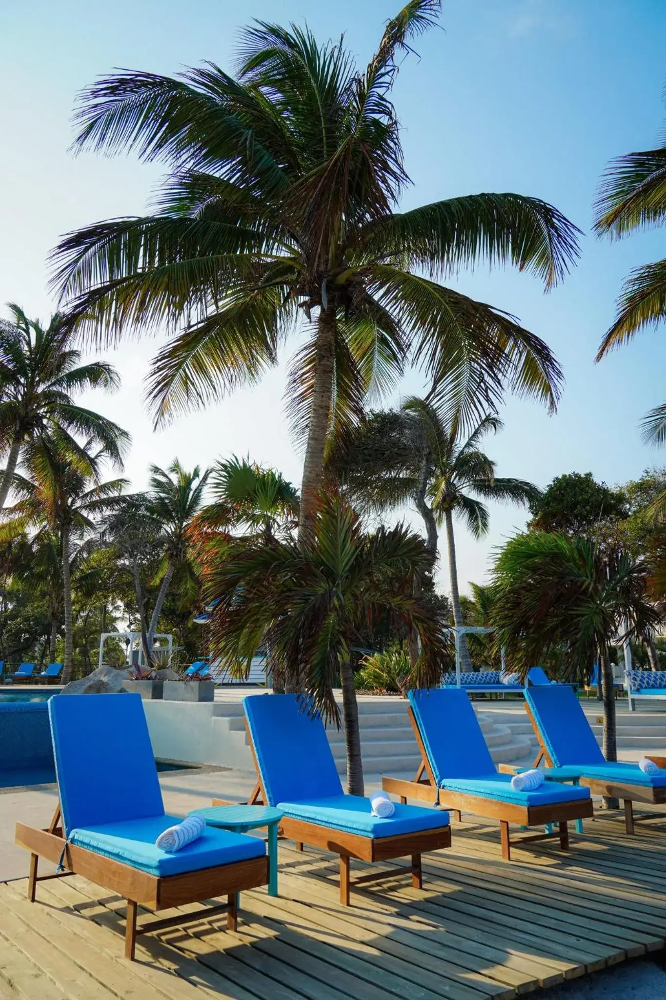 Garden, Swimming Pool in Margaritaville Beach Resort Ambergris Caye - Belize