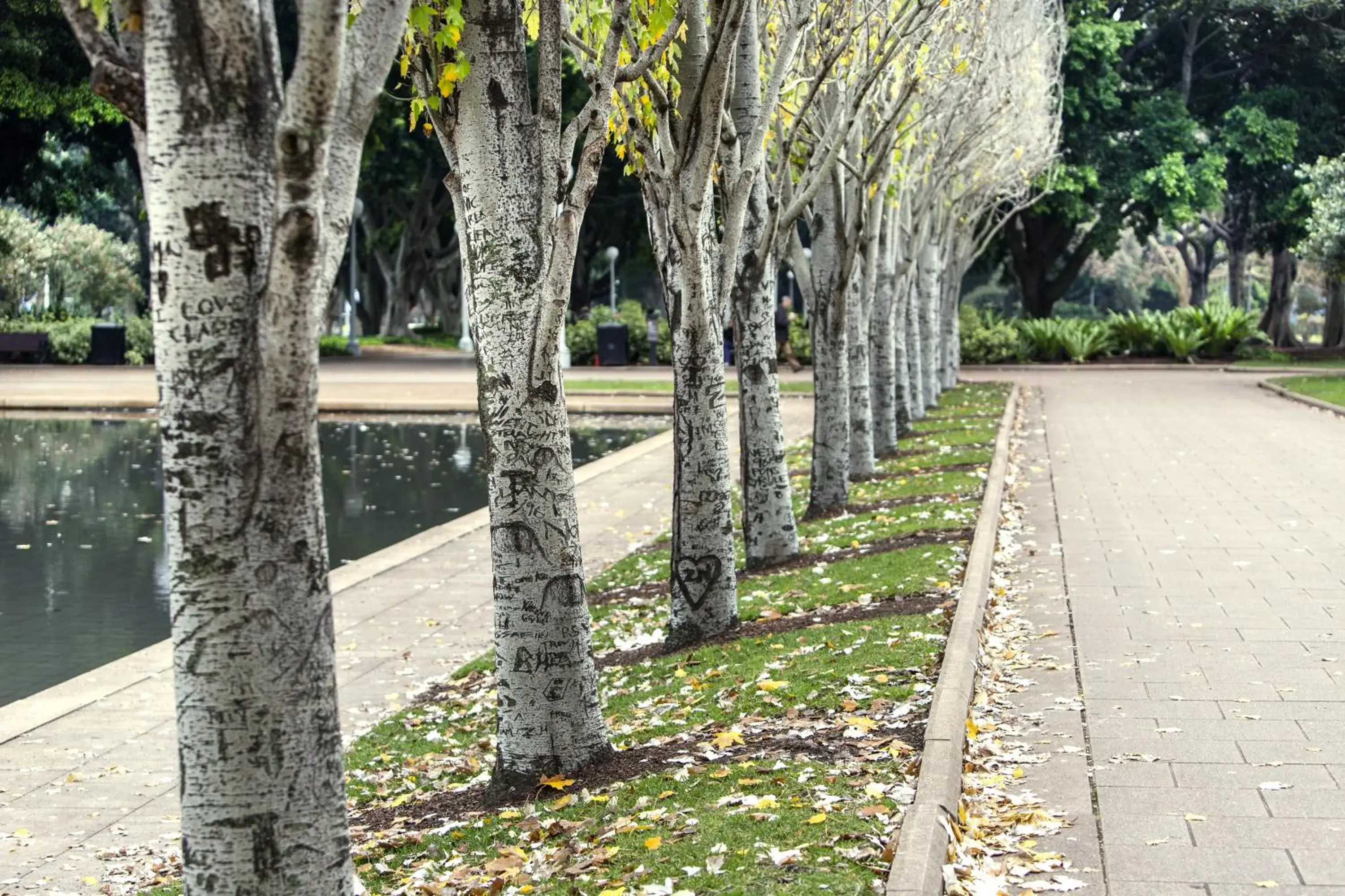 Other, Garden in Oaks Sydney Hyde Park Suites