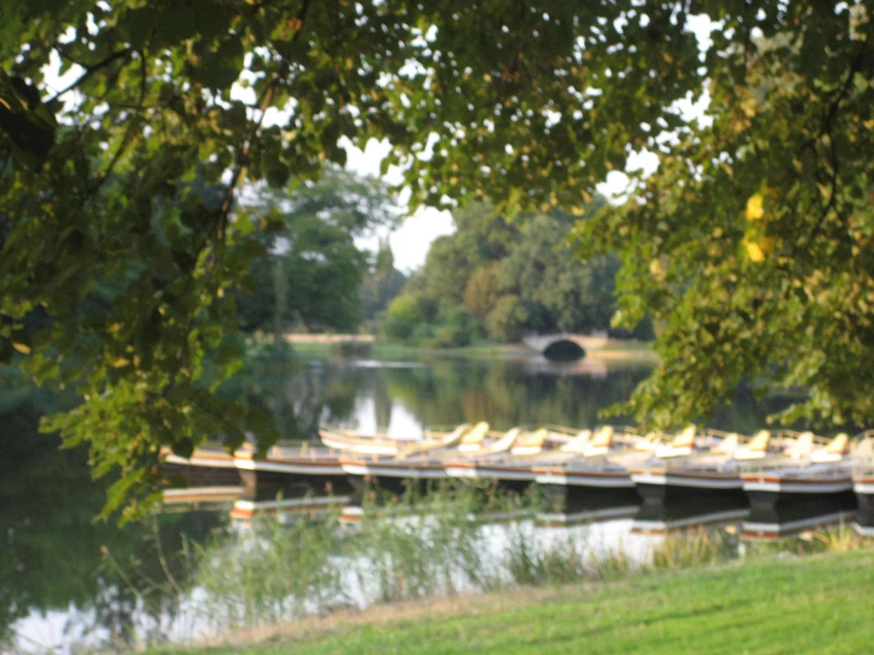 Natural landscape in Hotel Landhaus Wörlitzer Hof