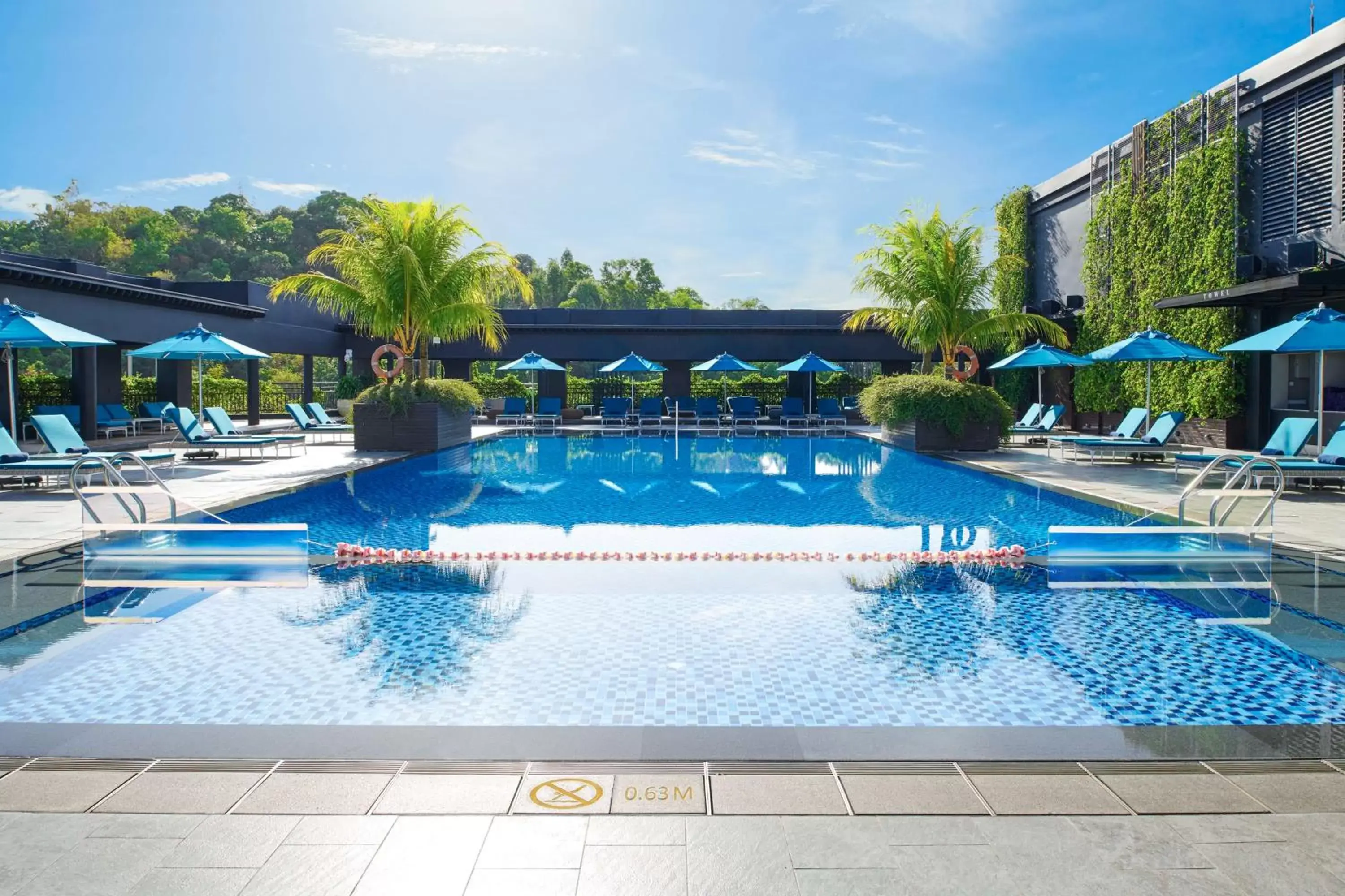 Pool view, Swimming Pool in Hilton Kota Kinabalu