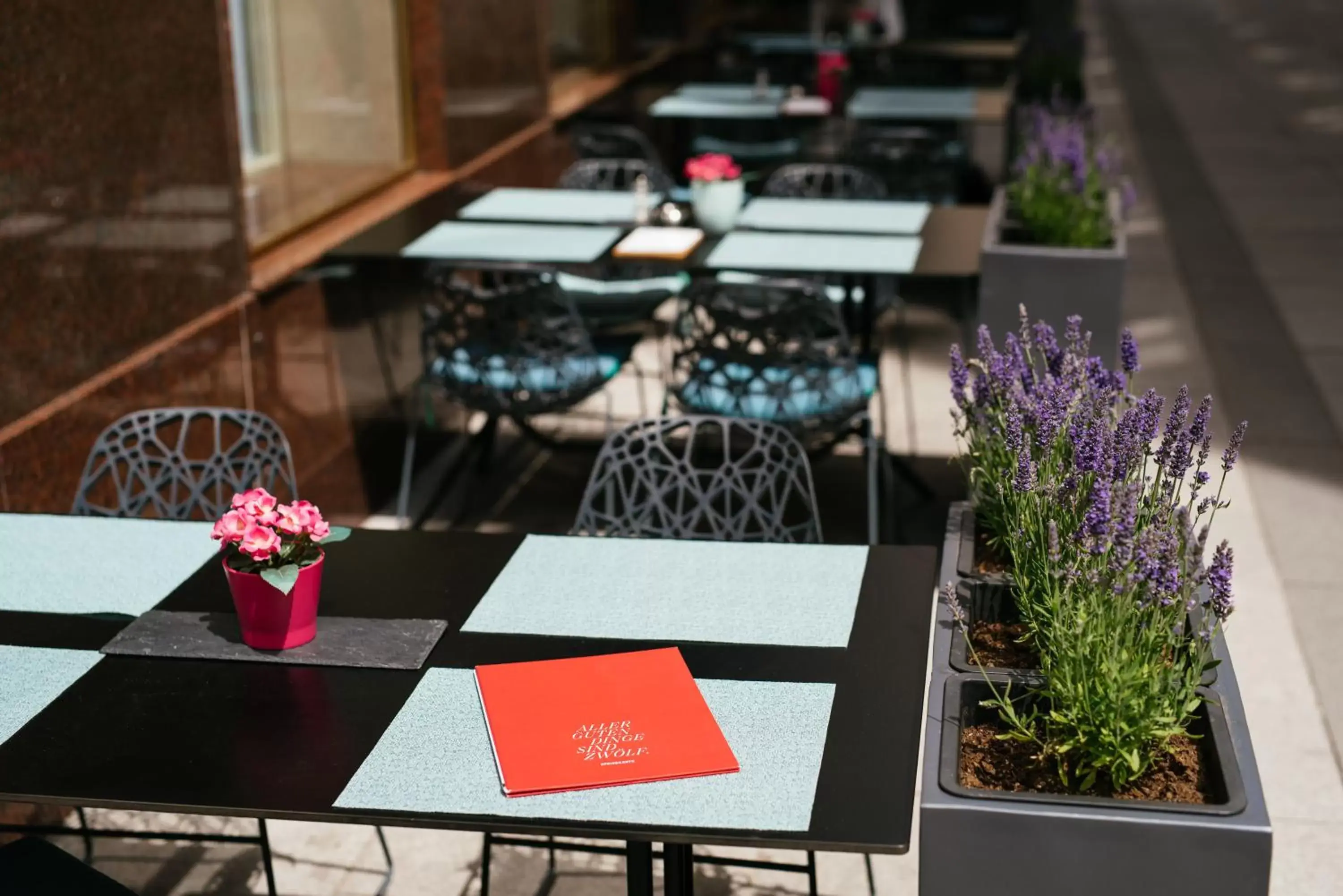 Balcony/Terrace in Radisson Blu Style Hotel, Vienna