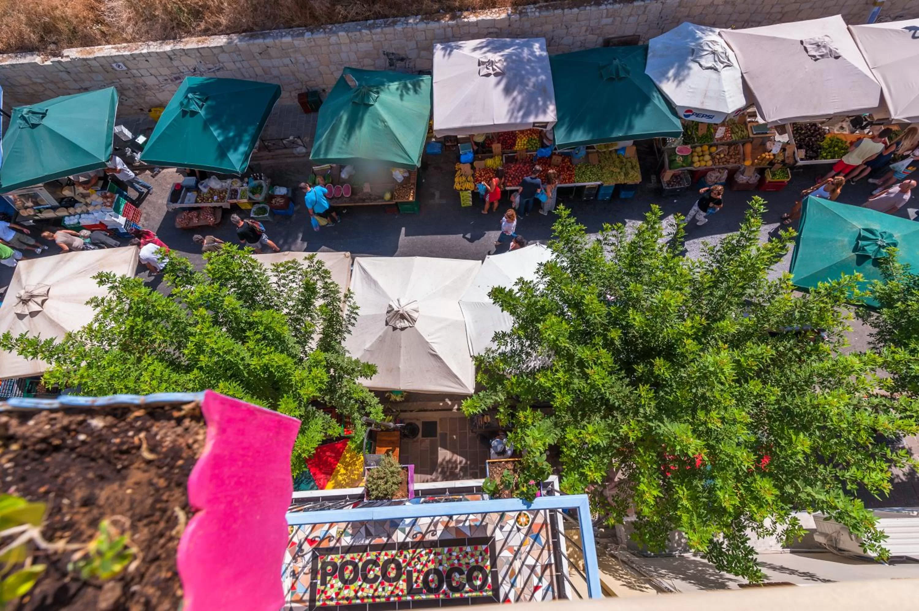 Street view in Poco Loco Bed & Breakfast