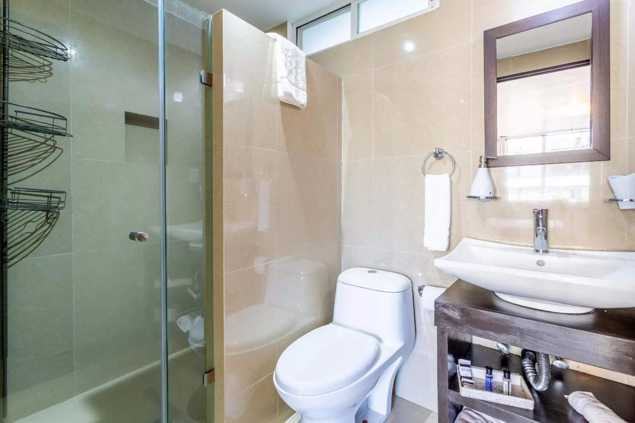 Bathroom in Suites 259 Condesa