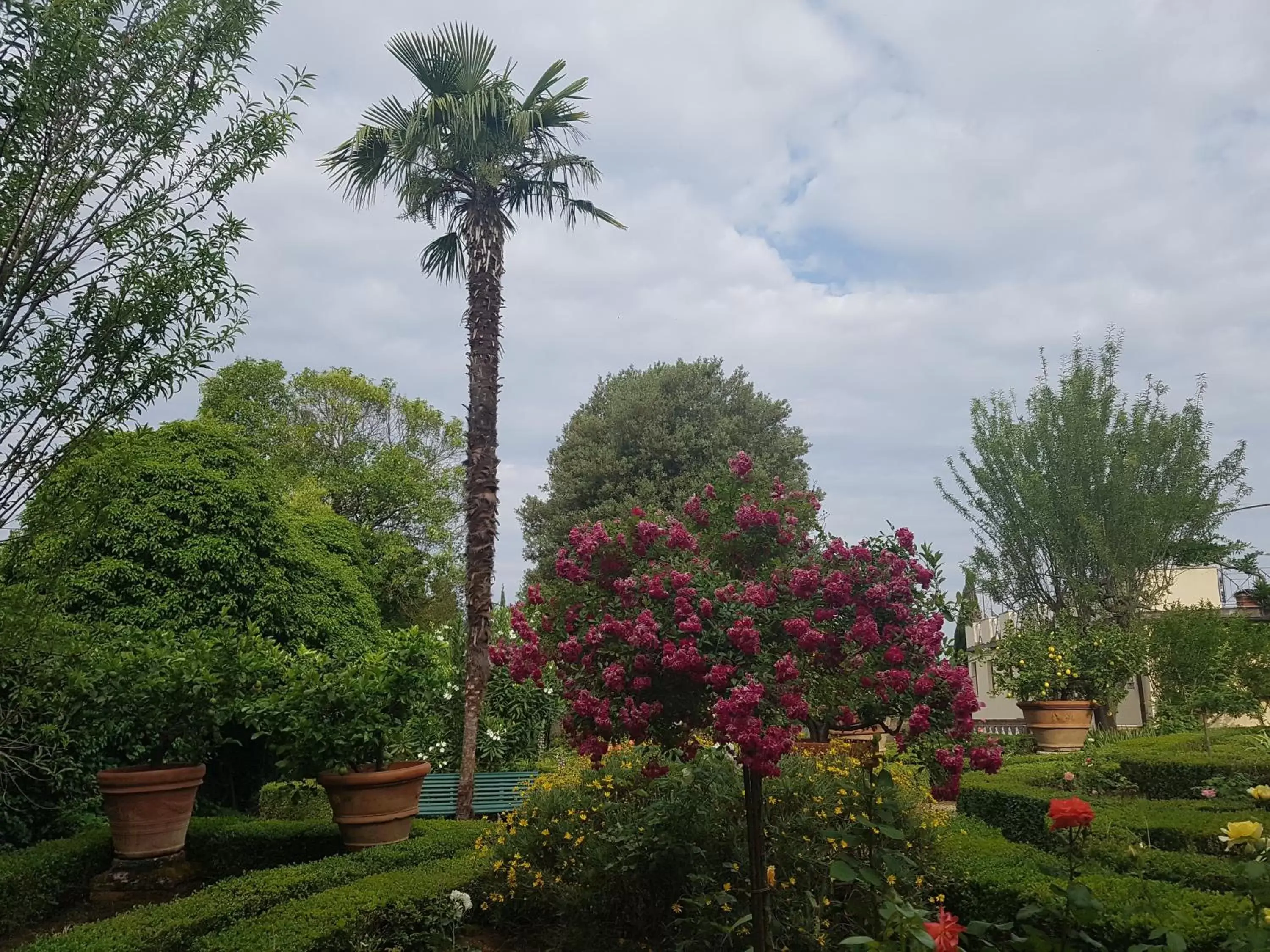 Garden in Villa Scacciapensieri Boutique Hotel