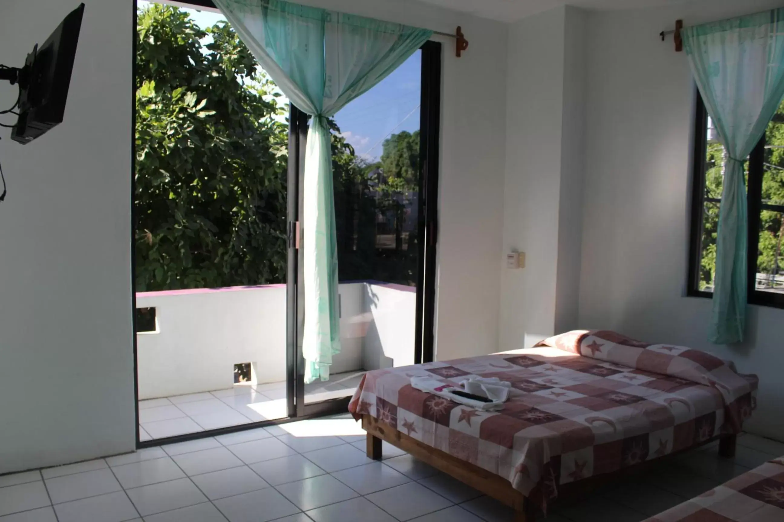 Balcony/Terrace, Bed in Hotel Palmarito