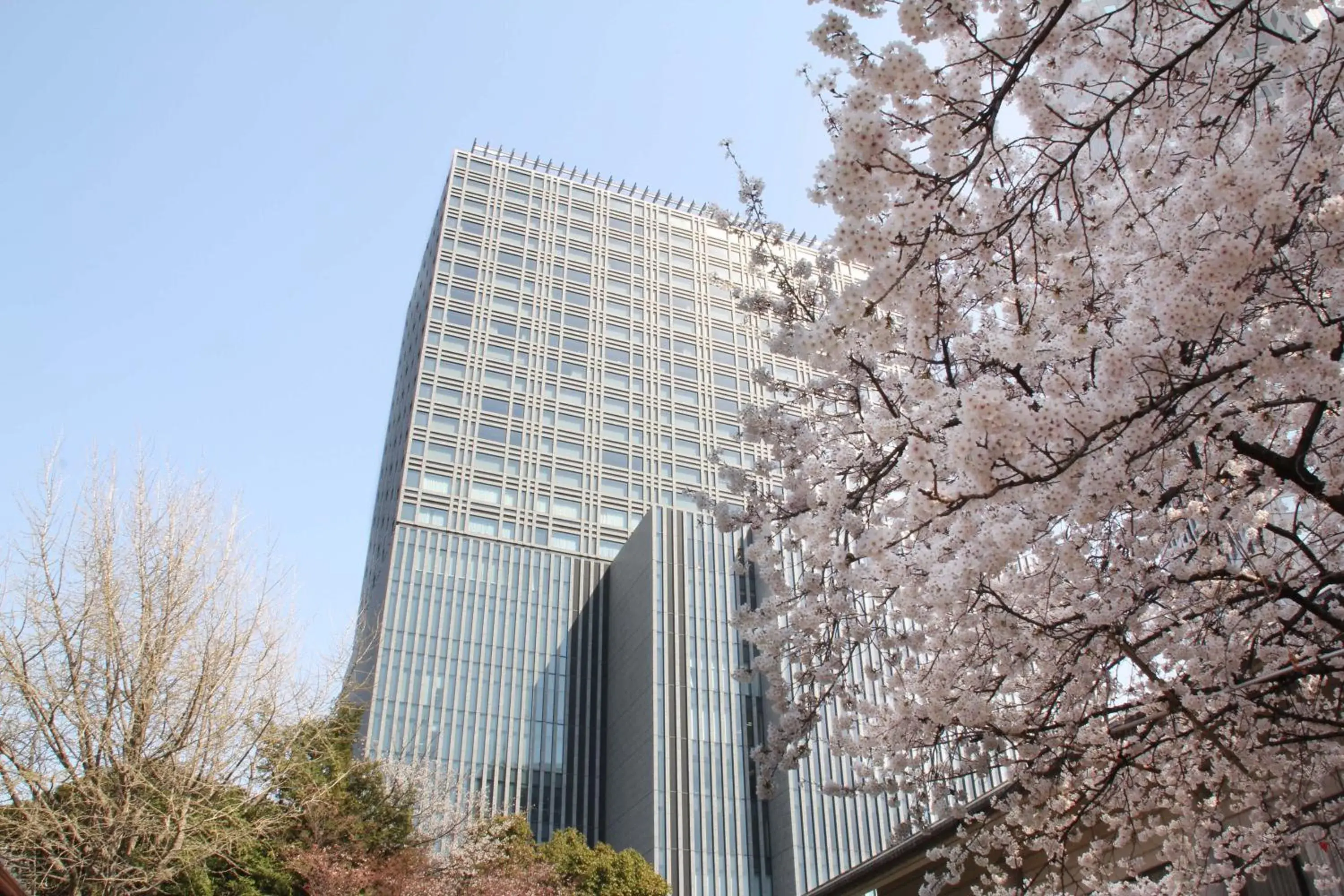 Other, Property Building in The Capitol Hotel Tokyu