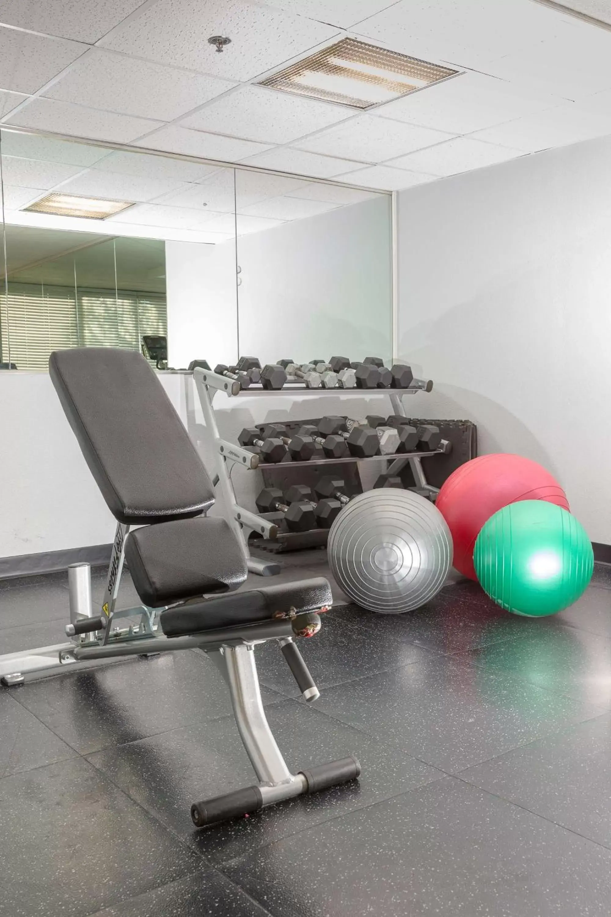 Fitness centre/facilities, Fitness Center/Facilities in Park Inn By Radisson Sharon