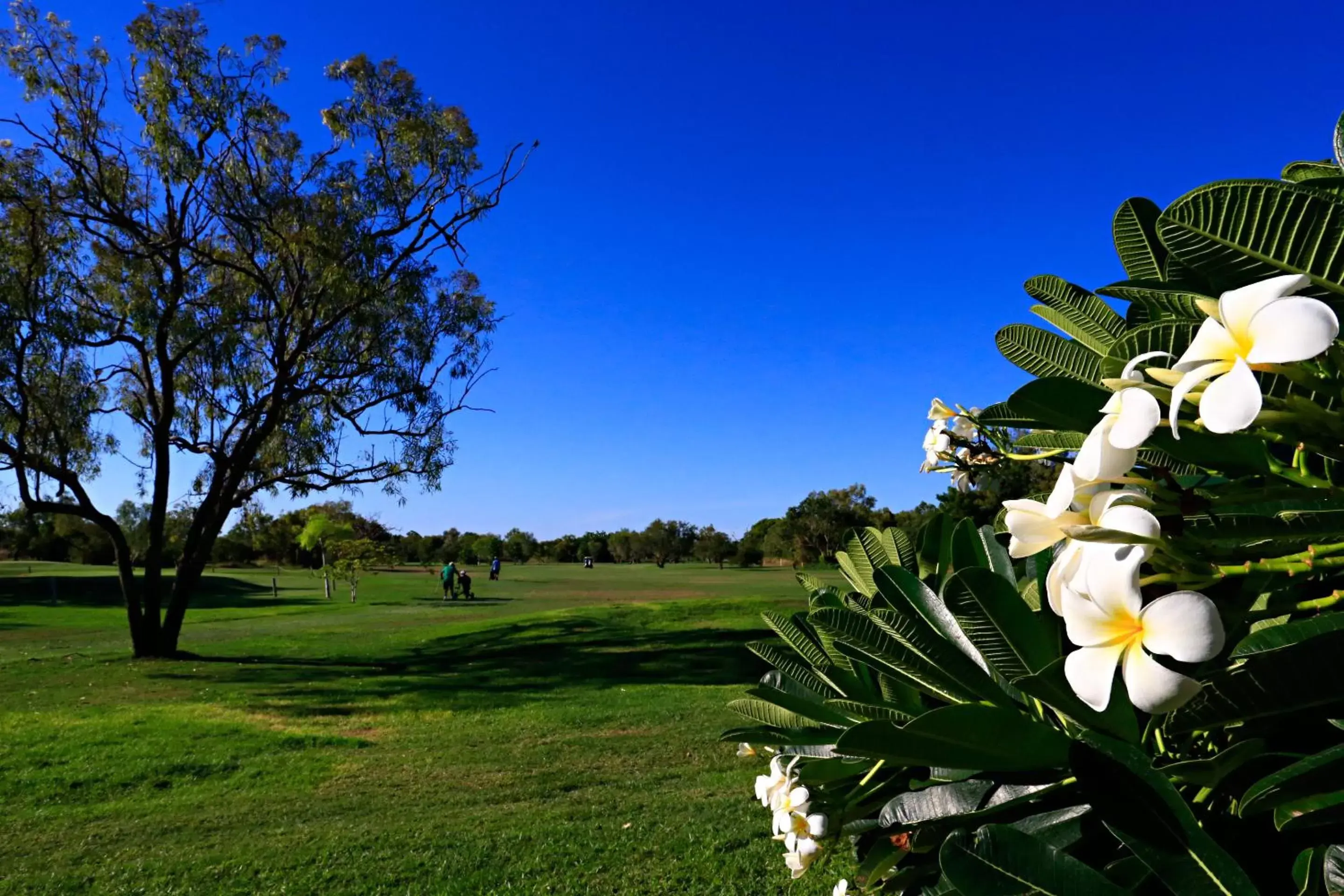 Golfcourse in Habitat Resort