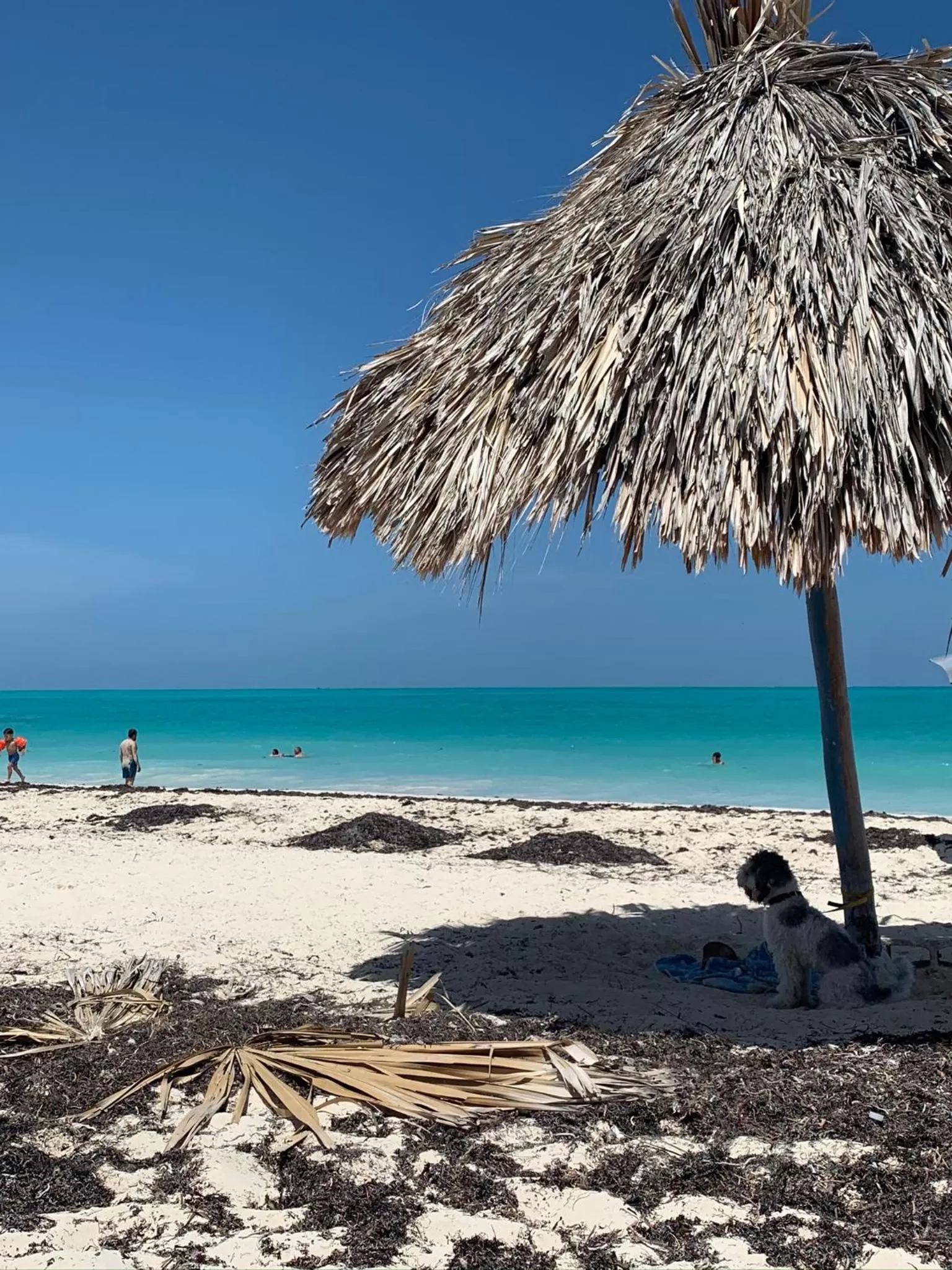 Beach in The Quetzal