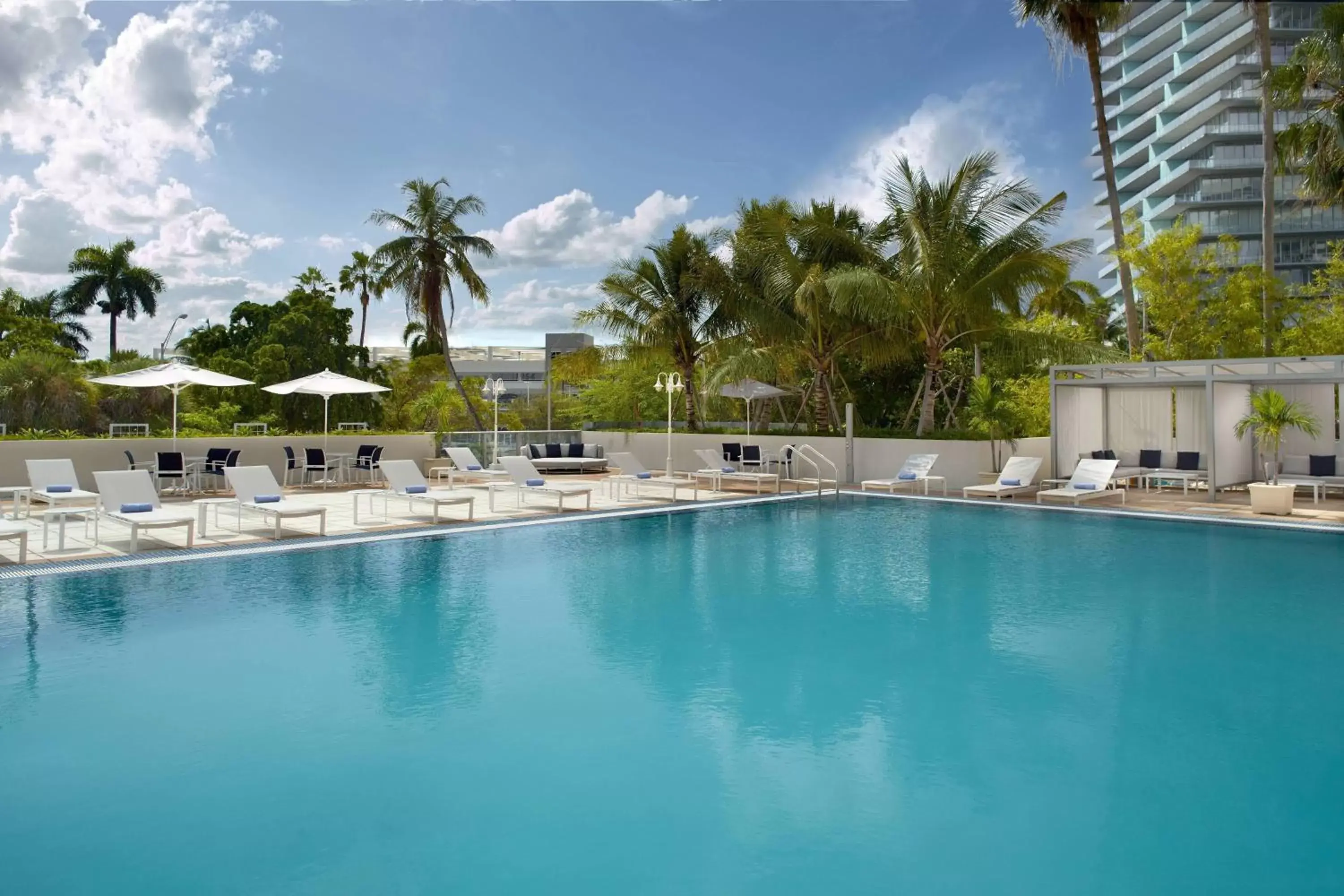 Swimming Pool in Courtyard Miami Coconut Grove