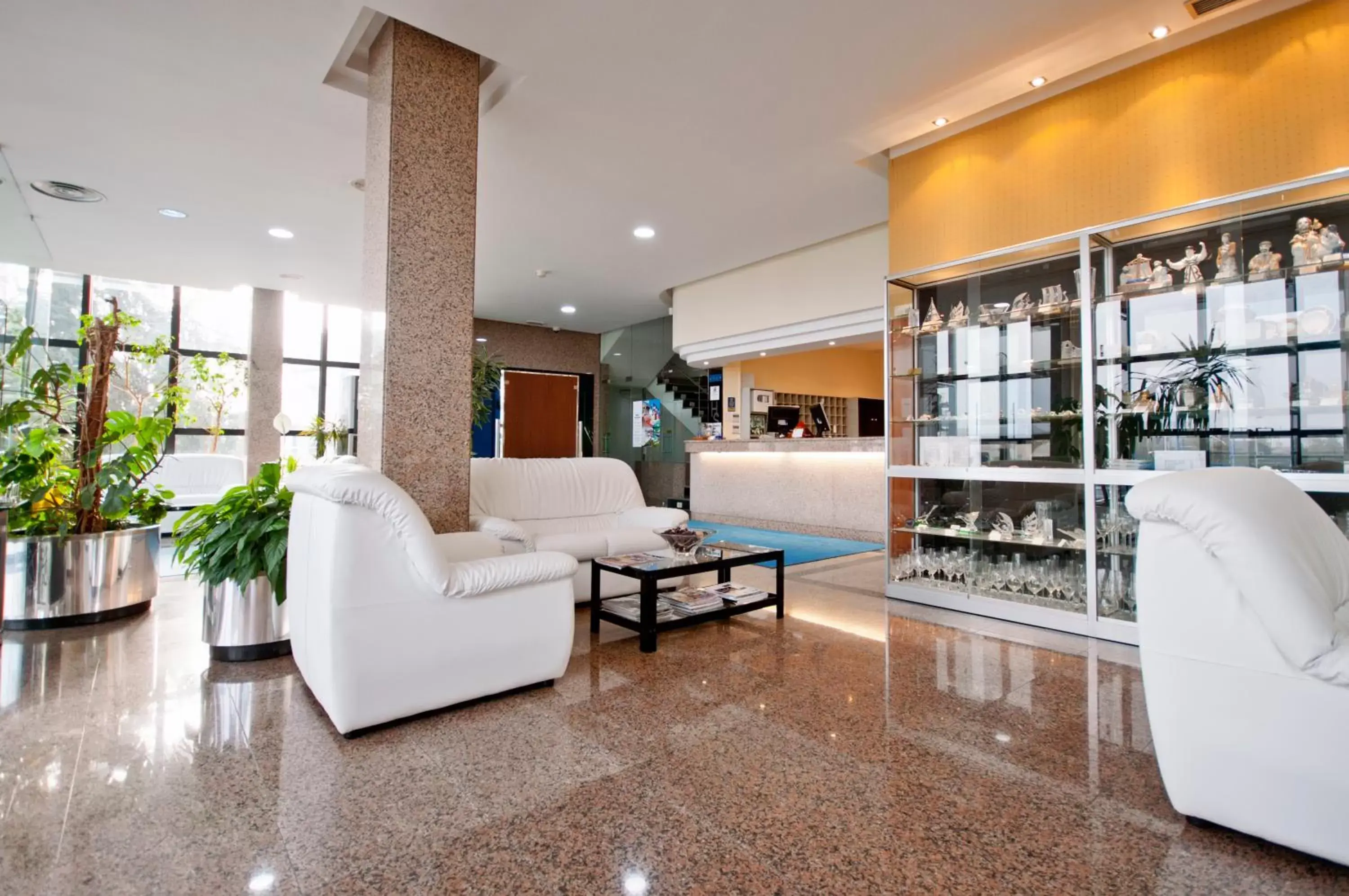 Lobby or reception, Lobby/Reception in Hotel Auditorio Santiago & Spa