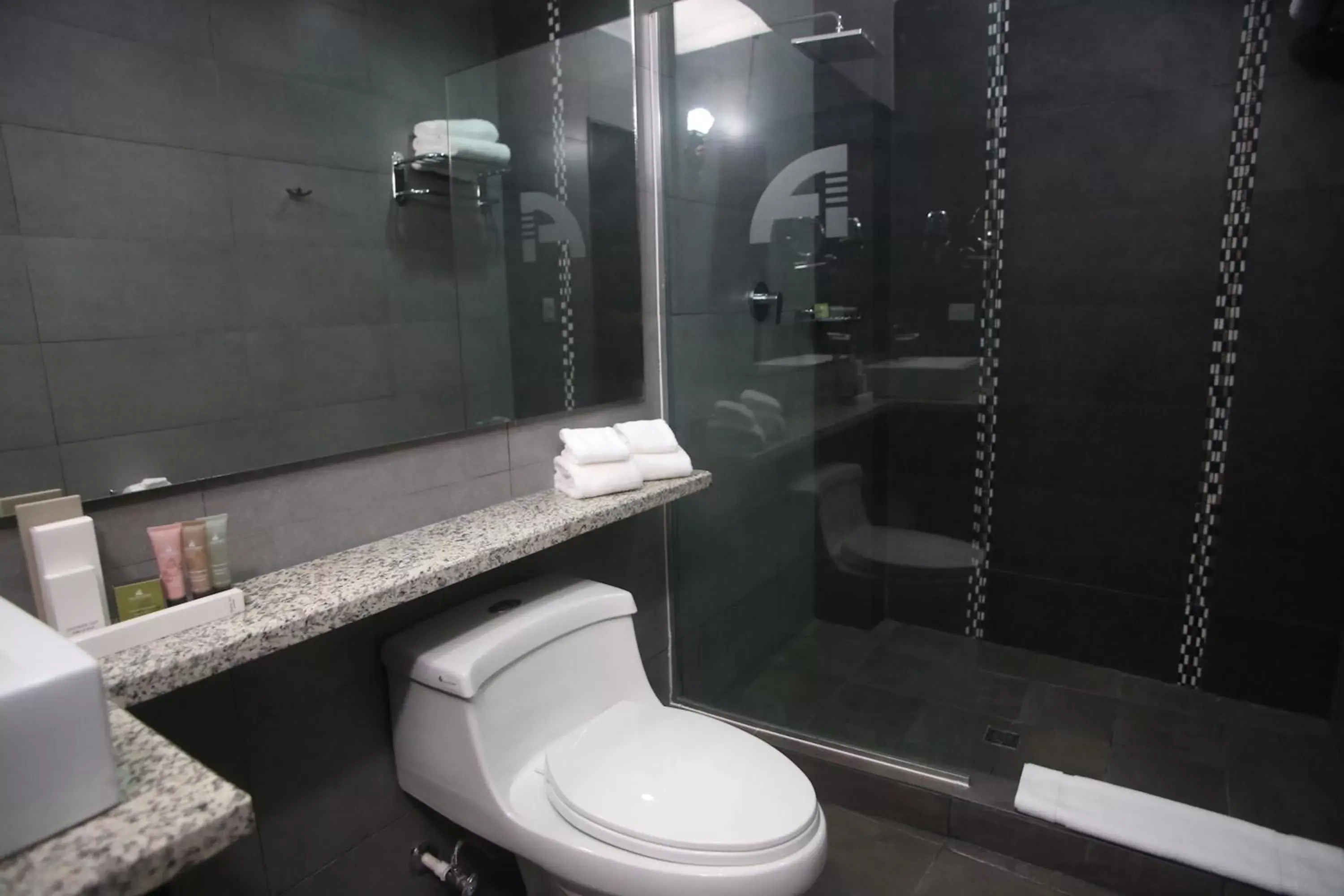 Shower, Bathroom in Aranjuez Hotel & Suites