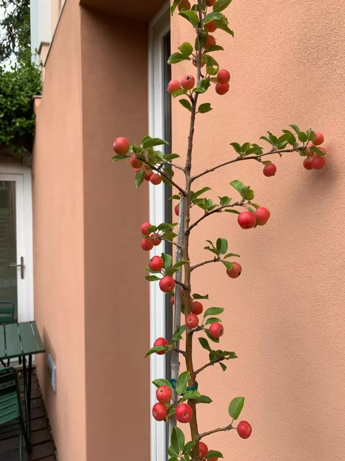 Patio in CASABELLA-LAGO MAGGIORE