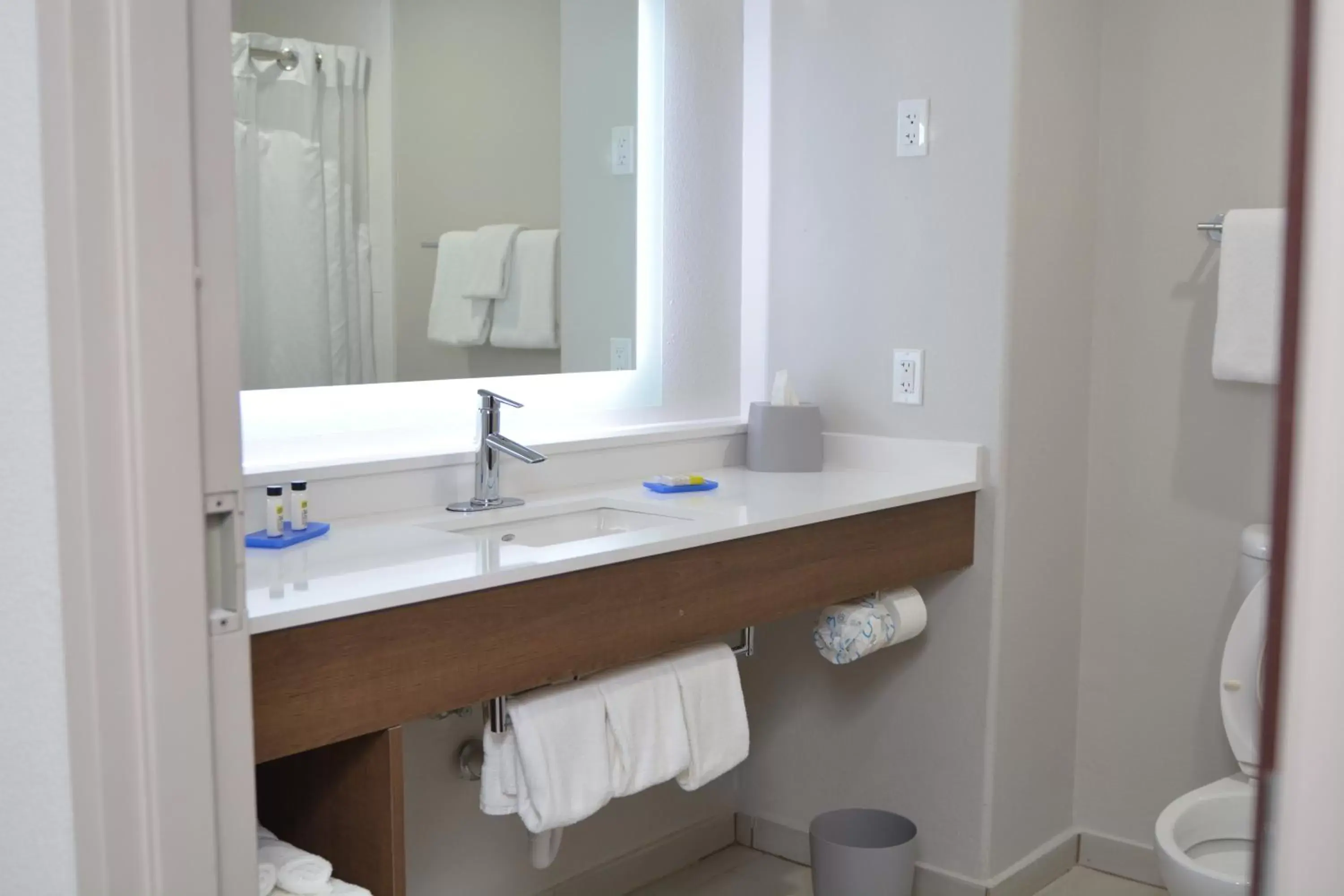 Photo of the whole room, Bathroom in Holiday Inn Express Seguin, an IHG Hotel