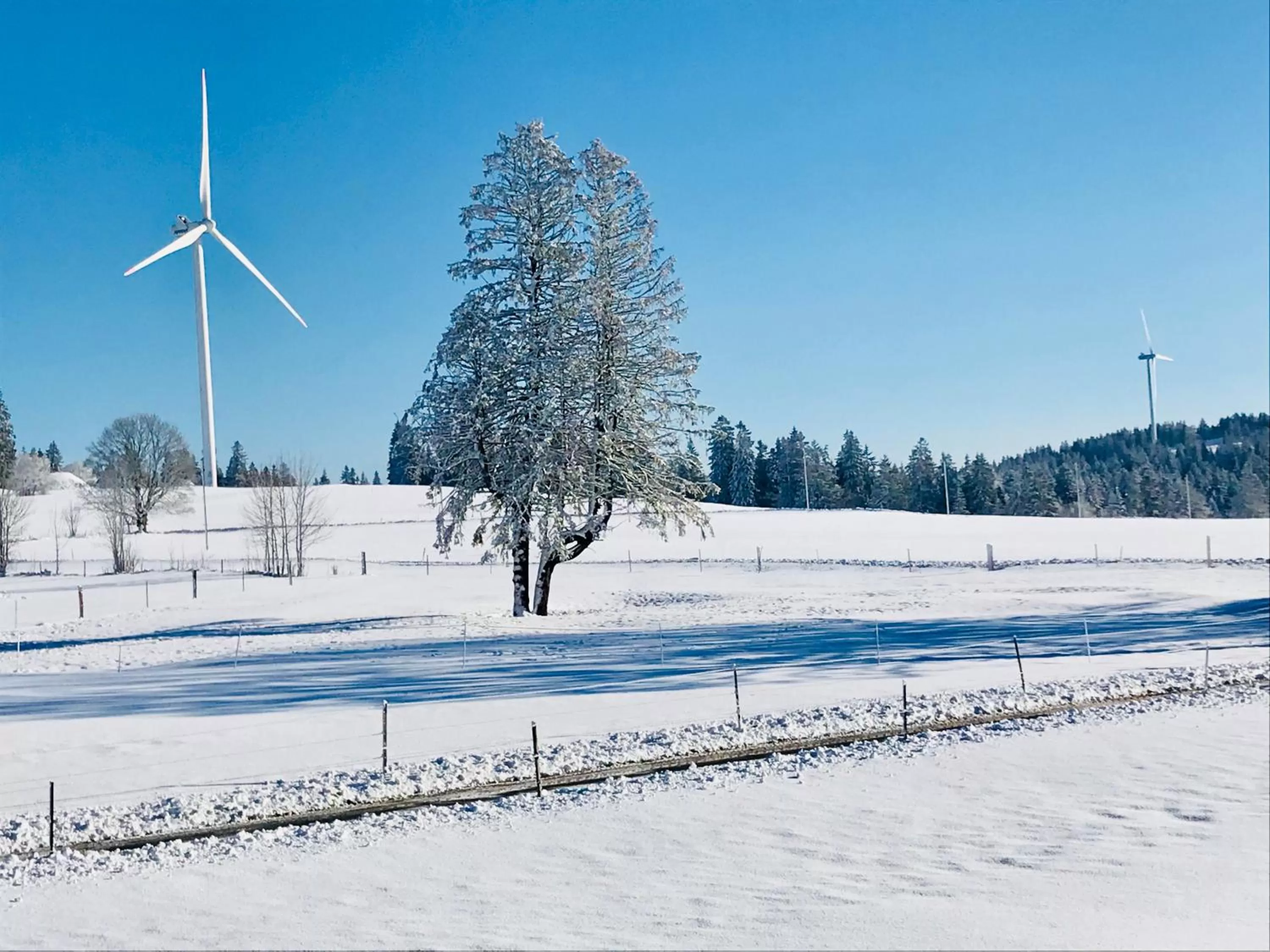 Natural landscape, Winter in Auberge de l'Assesseur - Mont-Soleil