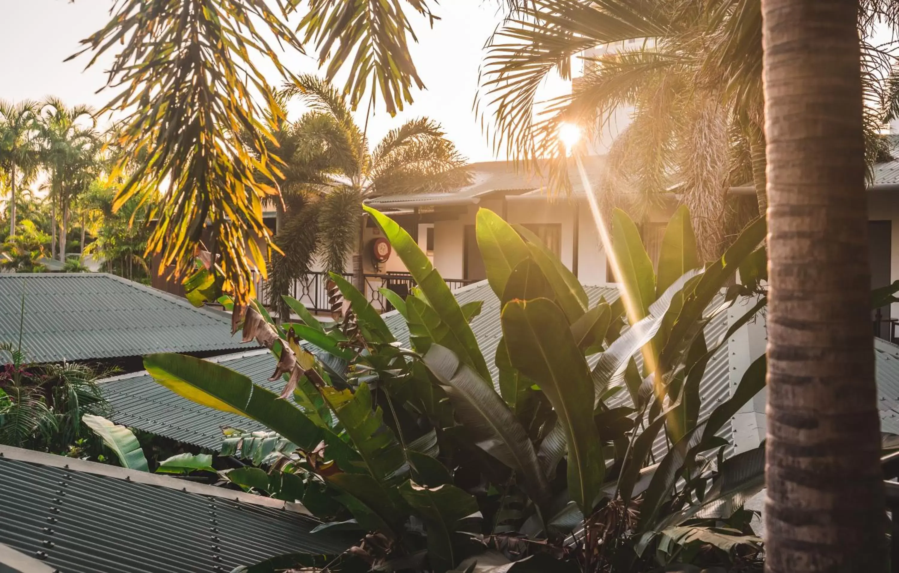 Garden in Palms City Resort