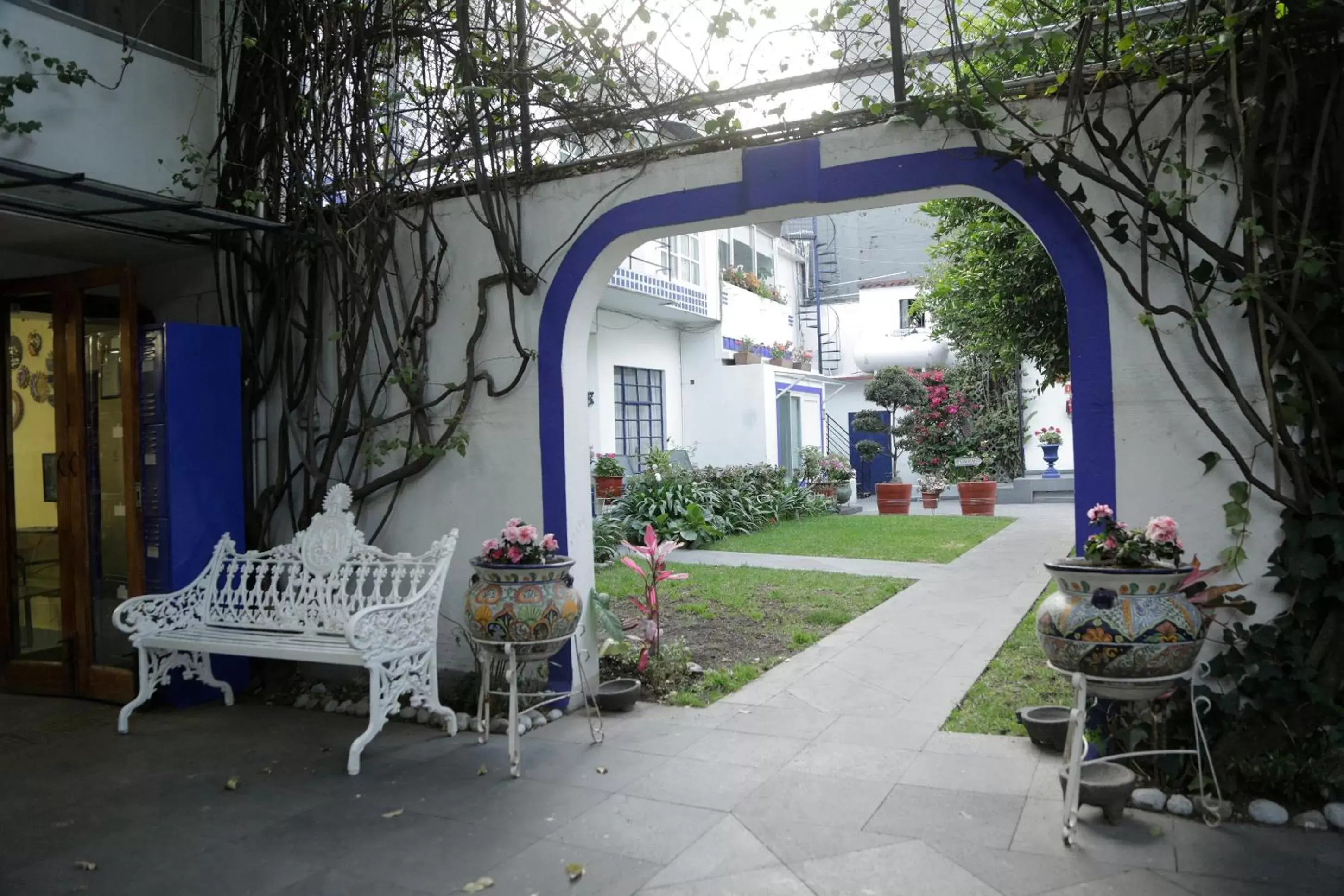 Garden, Patio/Outdoor Area in Hotel Casa Gonzalez