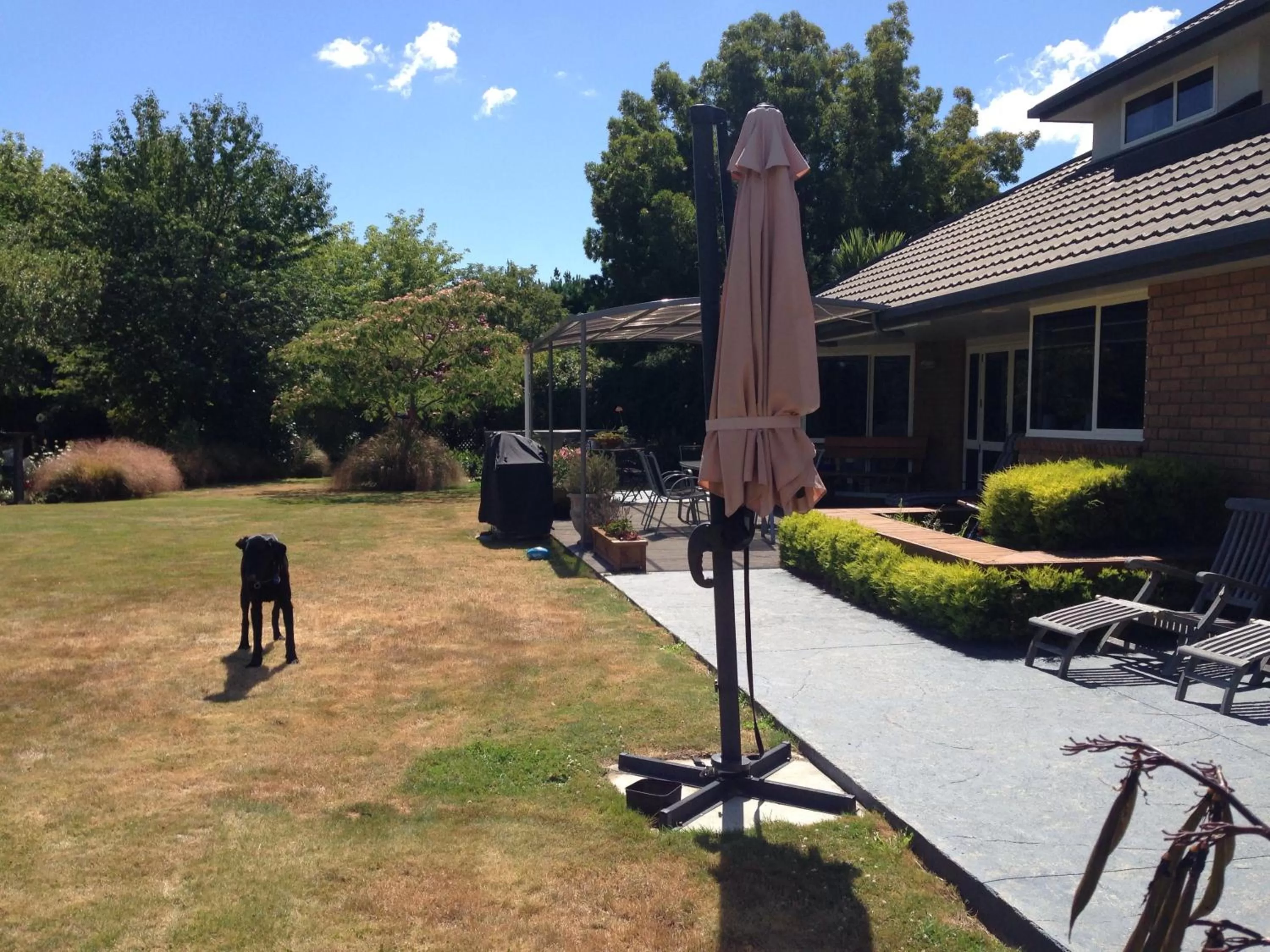 Property building in Newlands Bed and Breakfast