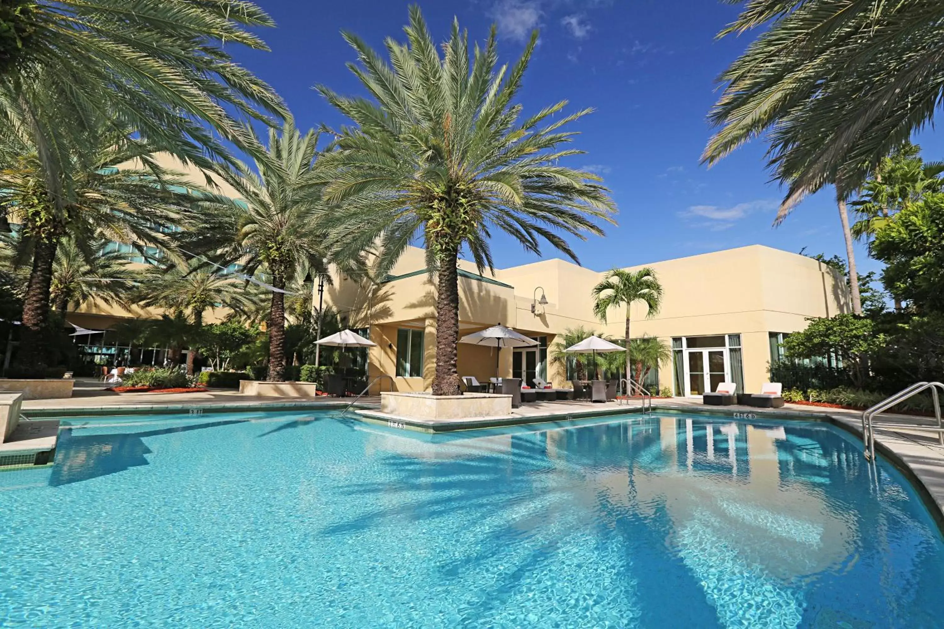 Swimming Pool in InterContinental at Doral Miami, an IHG Hotel