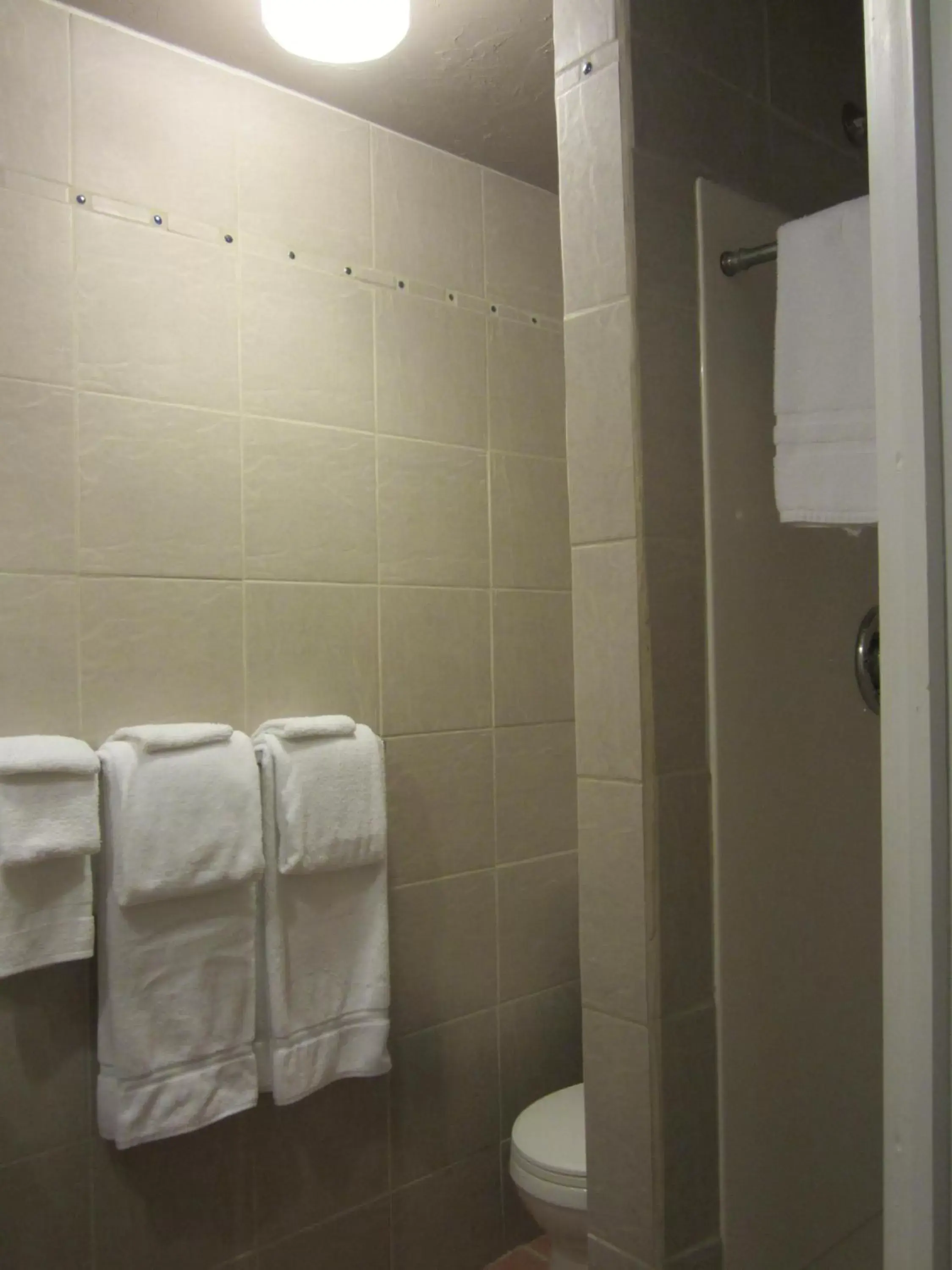 Shower, Bathroom in Big Horn Motel