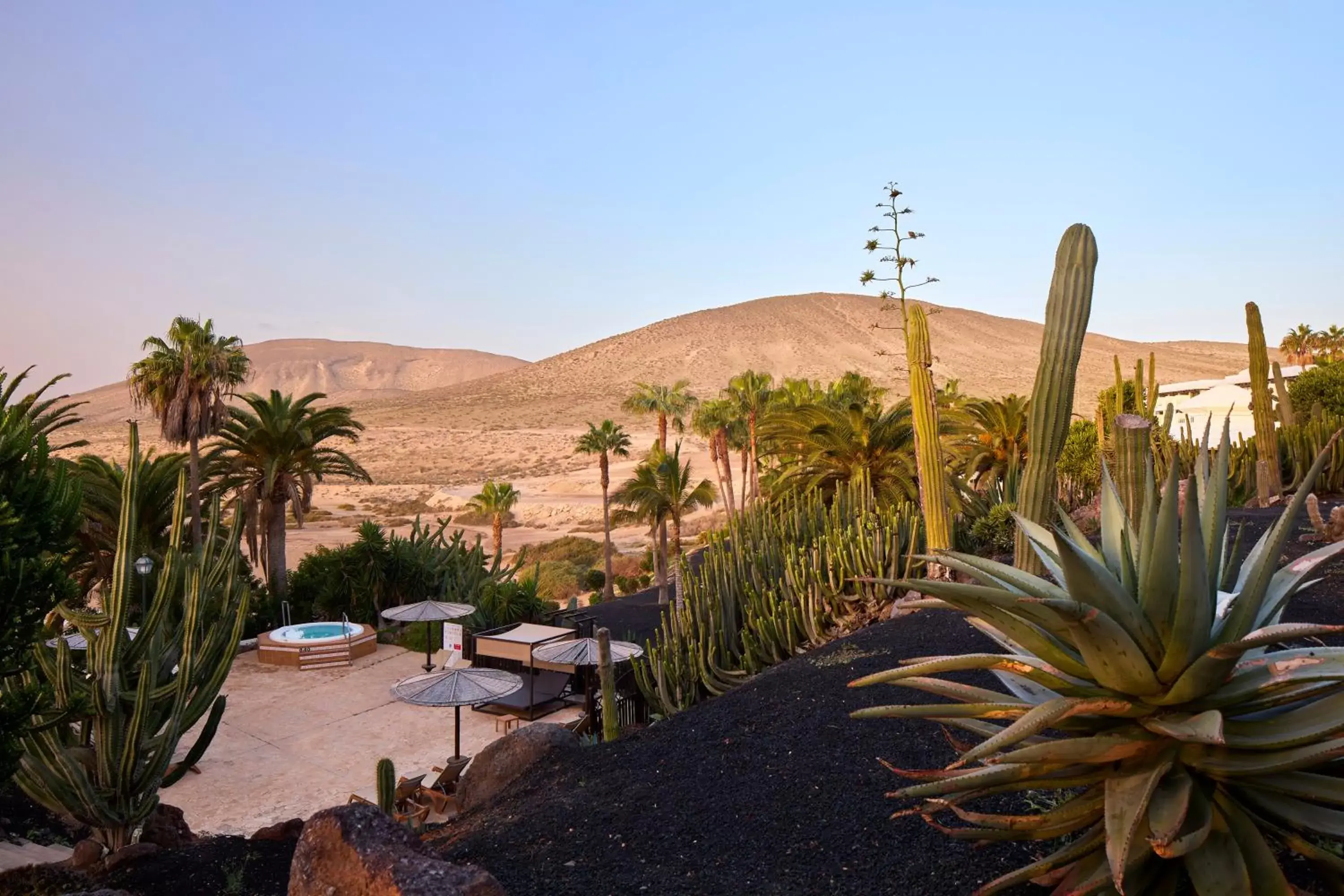 Off site in Meliá Fuerteventura