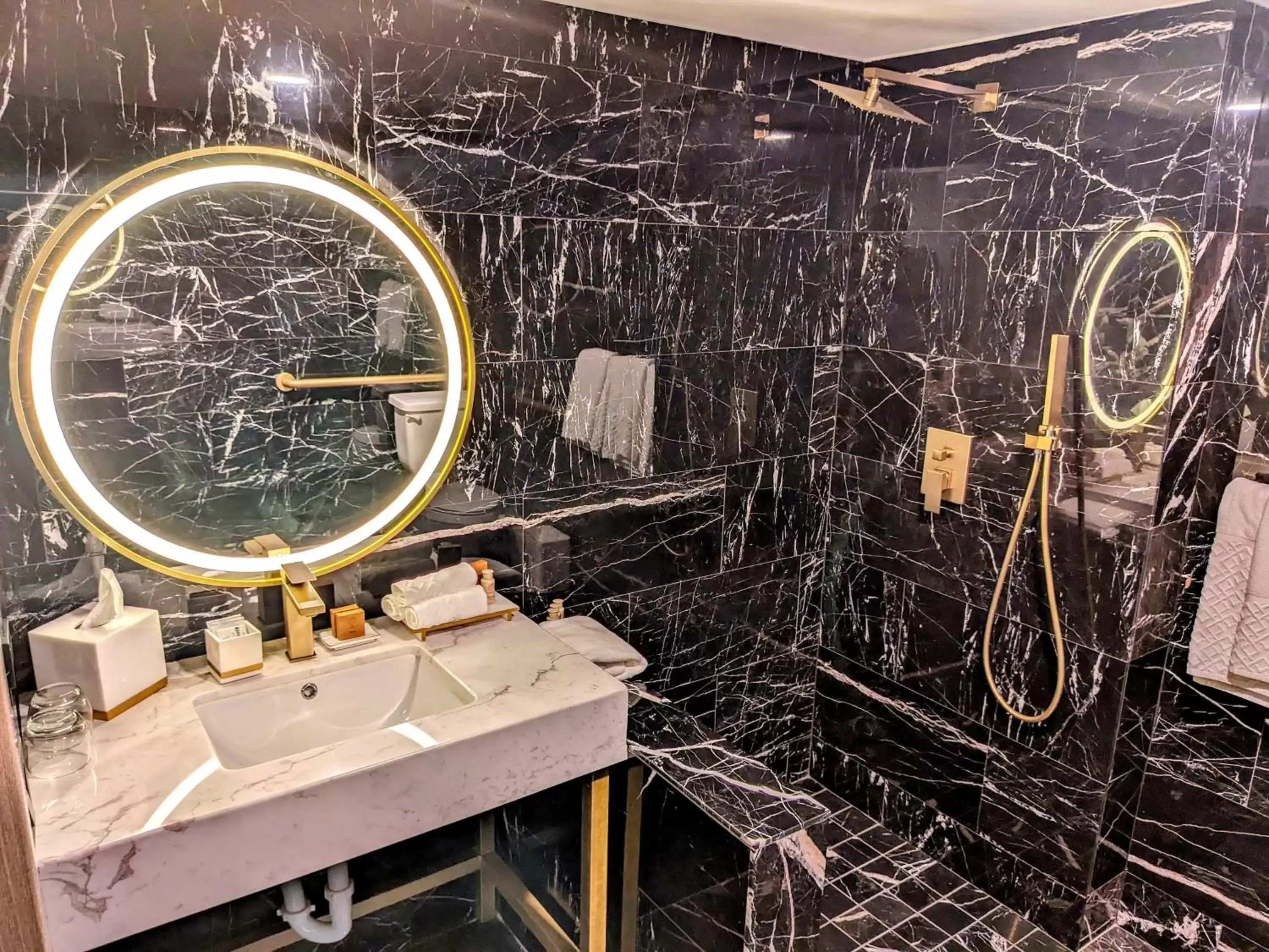 acessibility, Bathroom in Dolce by Wyndham Hollywood