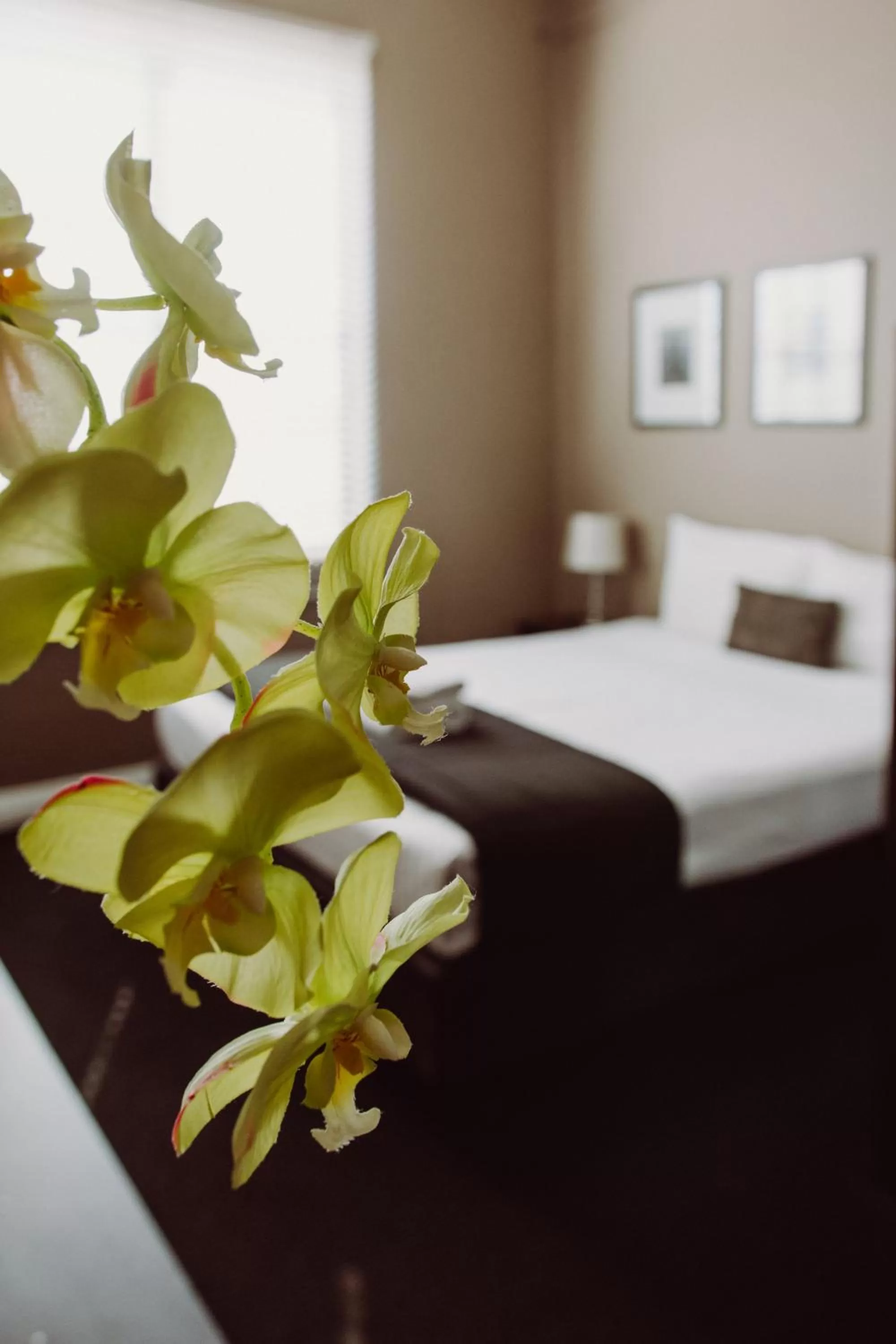 Bed in Crossroads Hotel