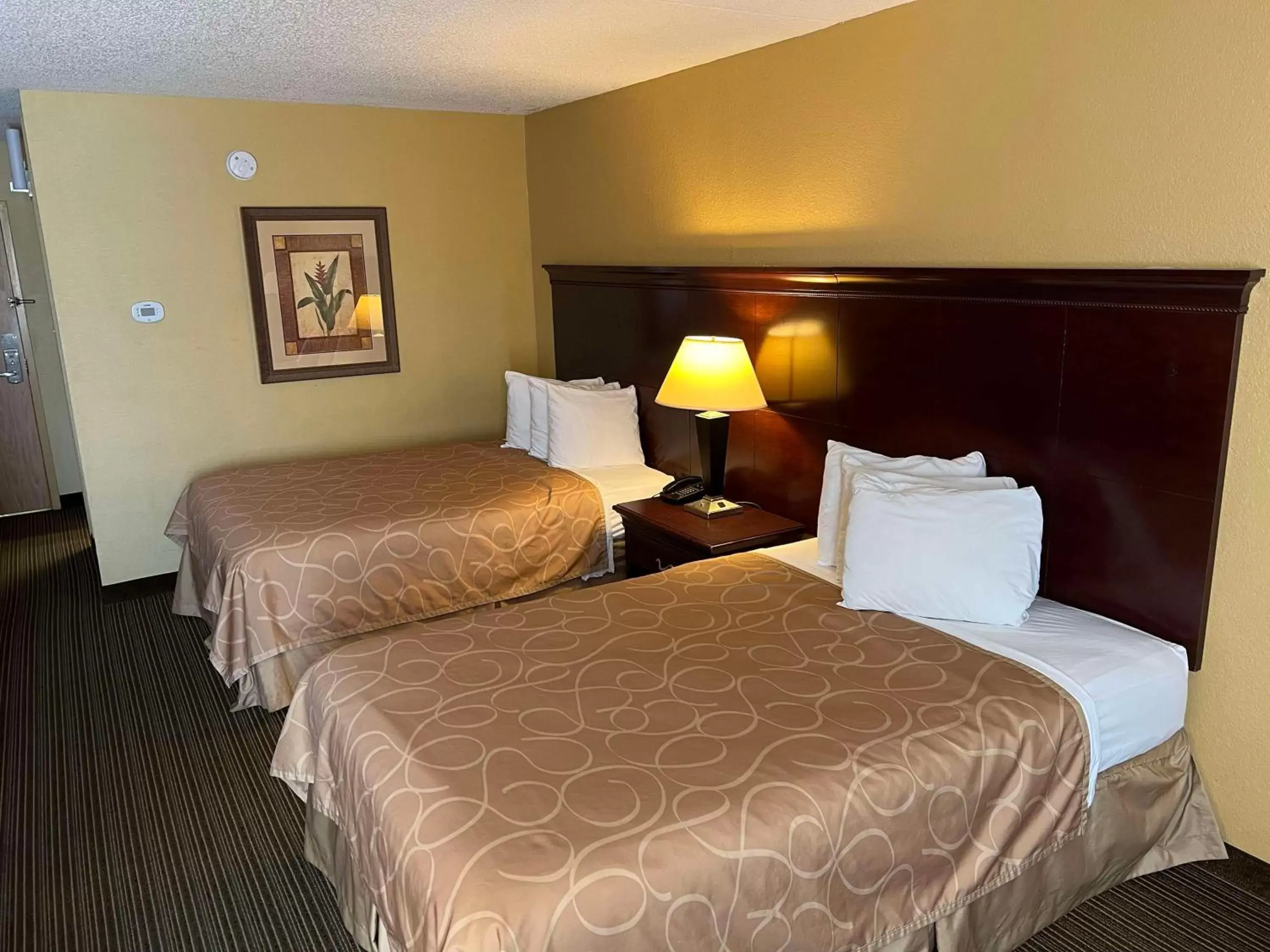 Bedroom, Bed in SureStay Plus Hotel by Best Western Hopkinsville