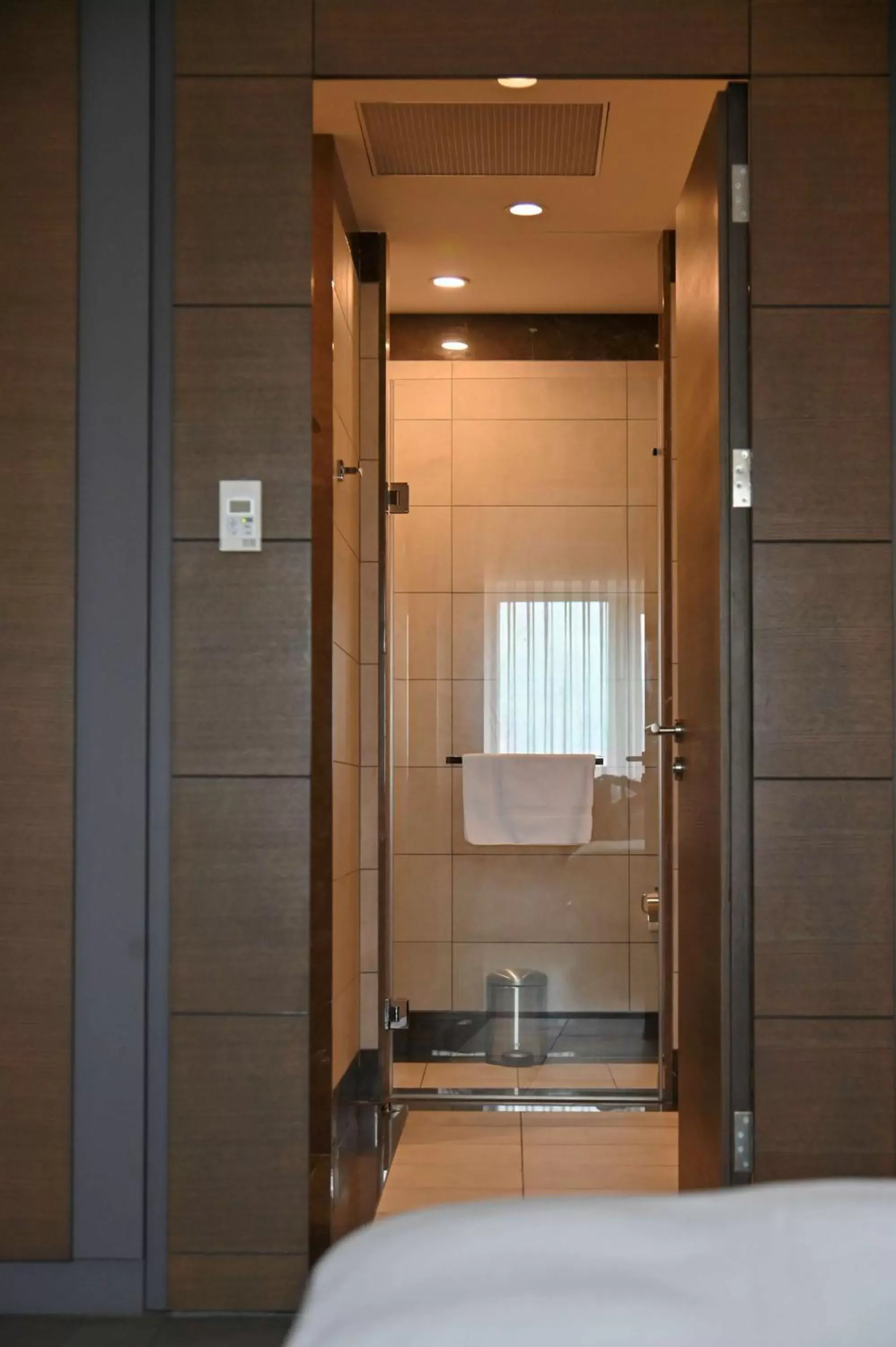 Shower, Bathroom in Radisson Blu Hotel, Abidjan Airport