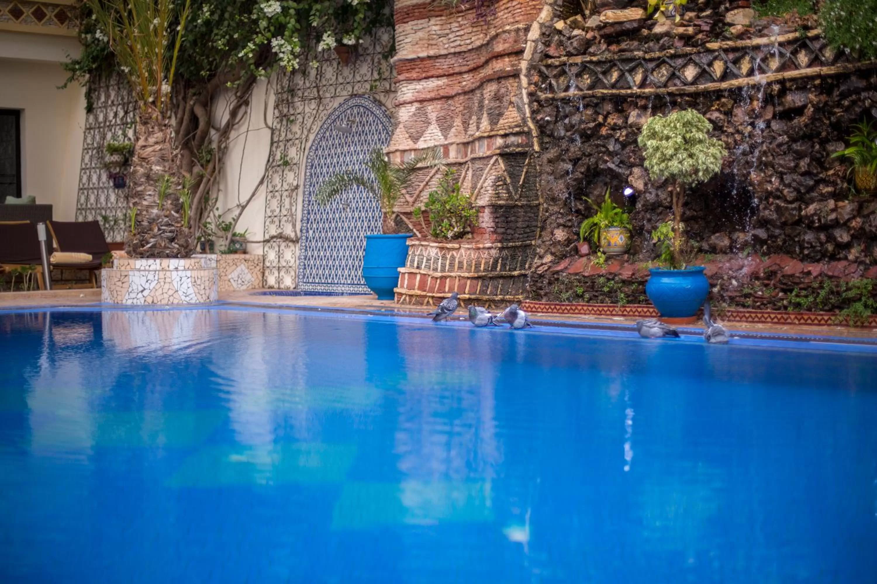 Swimming pool in Atlantic Hotel Agadir