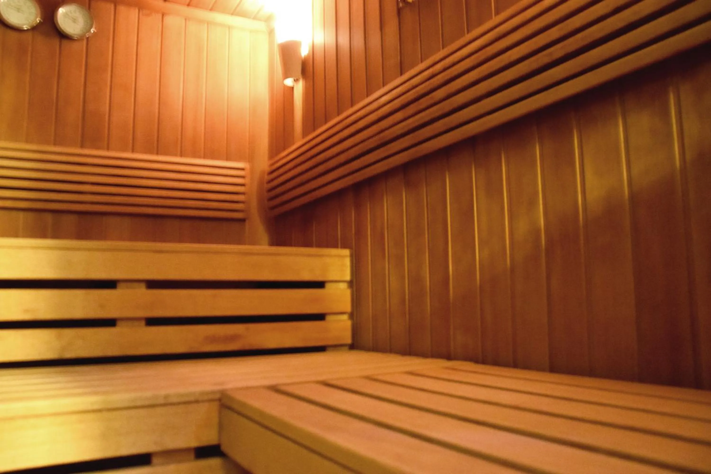 Spa and wellness centre/facilities in Hotel Roter Löwe