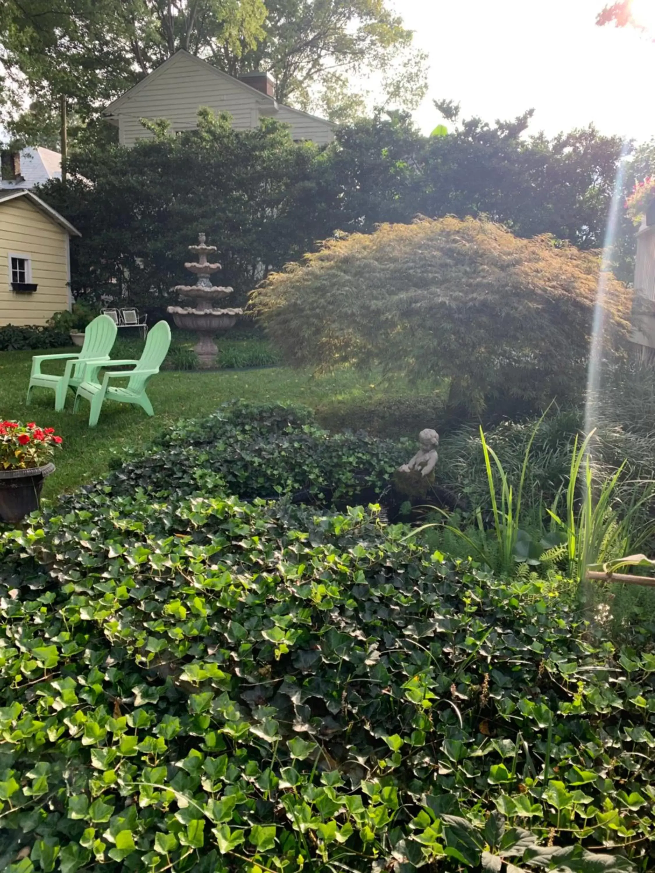 Garden in The Inn on Front Street