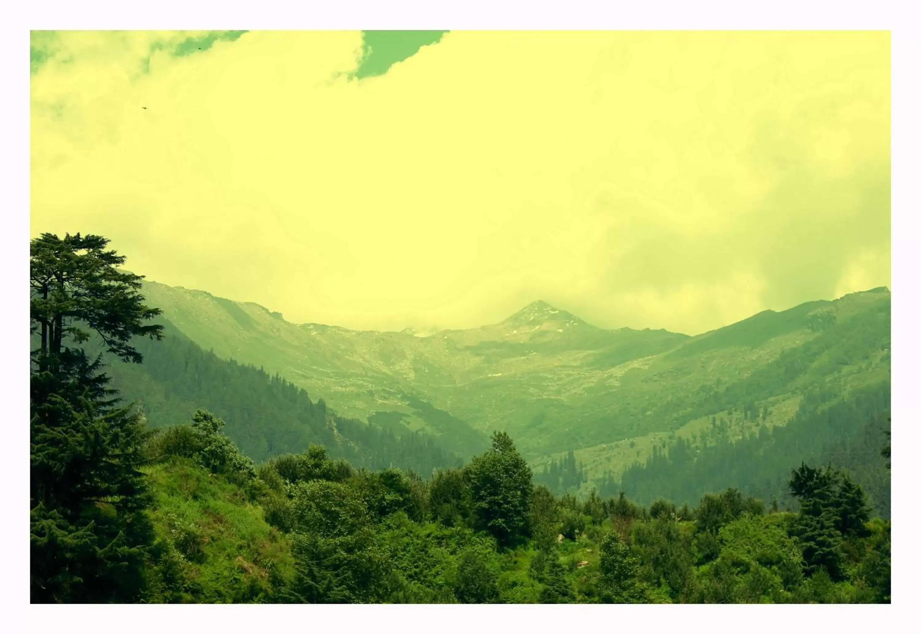 Natural Landscape in The Manali Inn