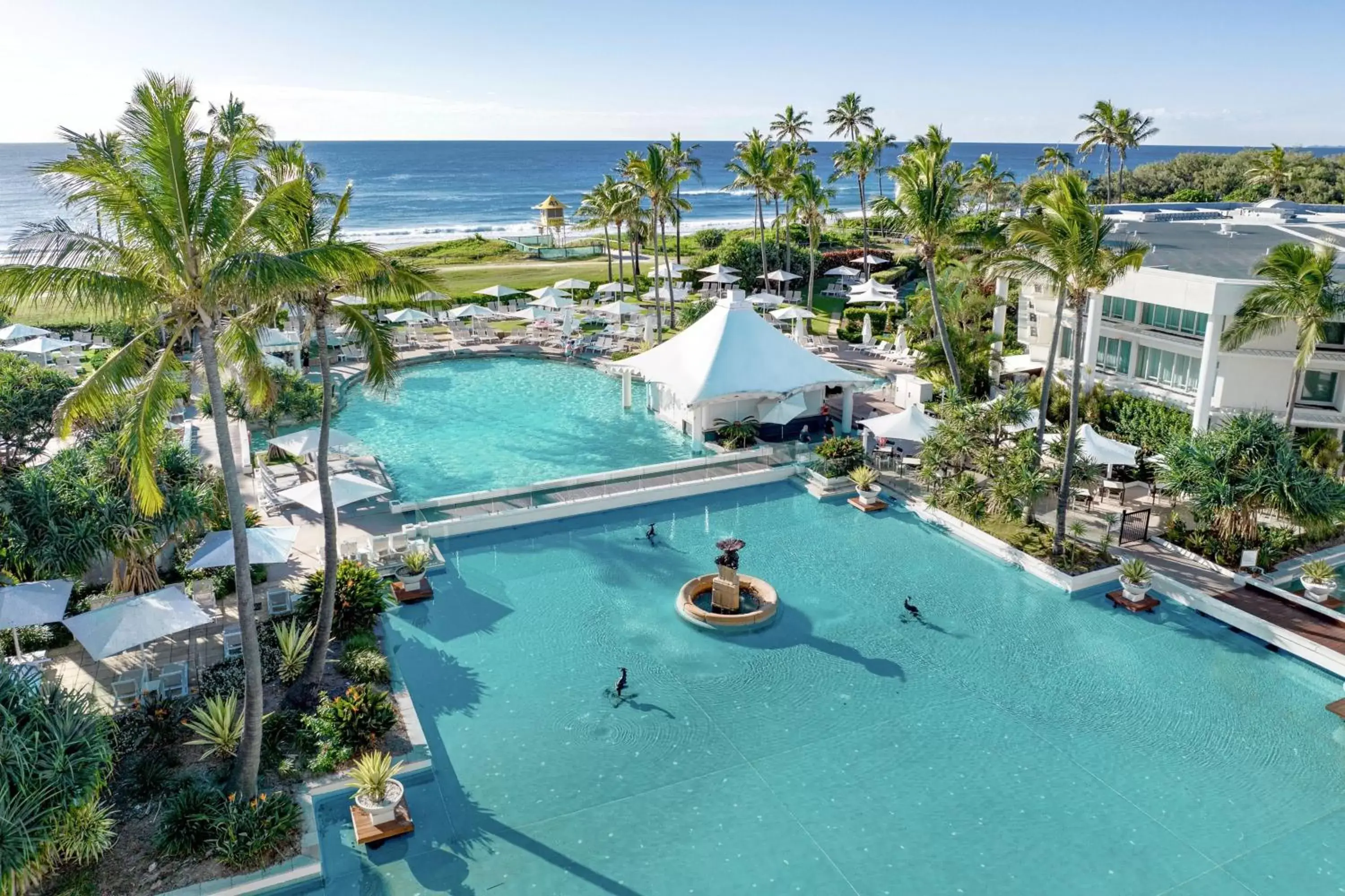 Beach, Pool View in Sheraton Grand Mirage Resort Gold Coast