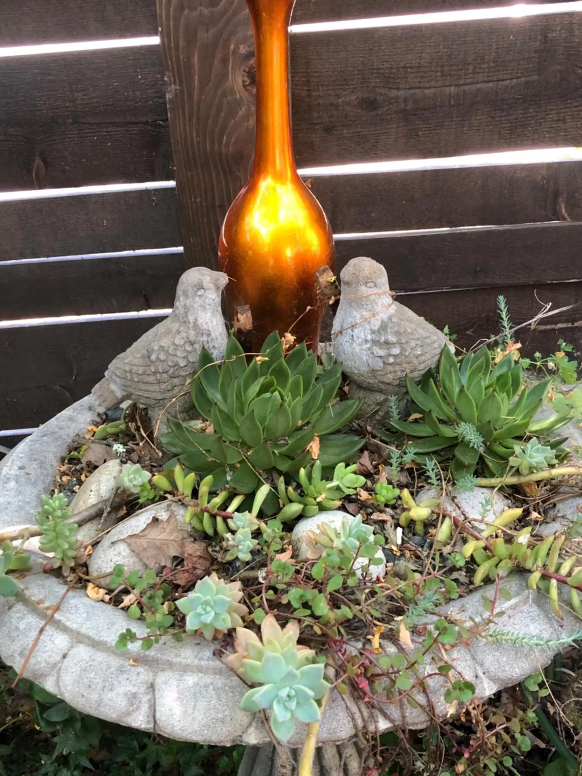 Glen Ellen Inn Secret Cottages Glen Ellen Inn Secret Cottages