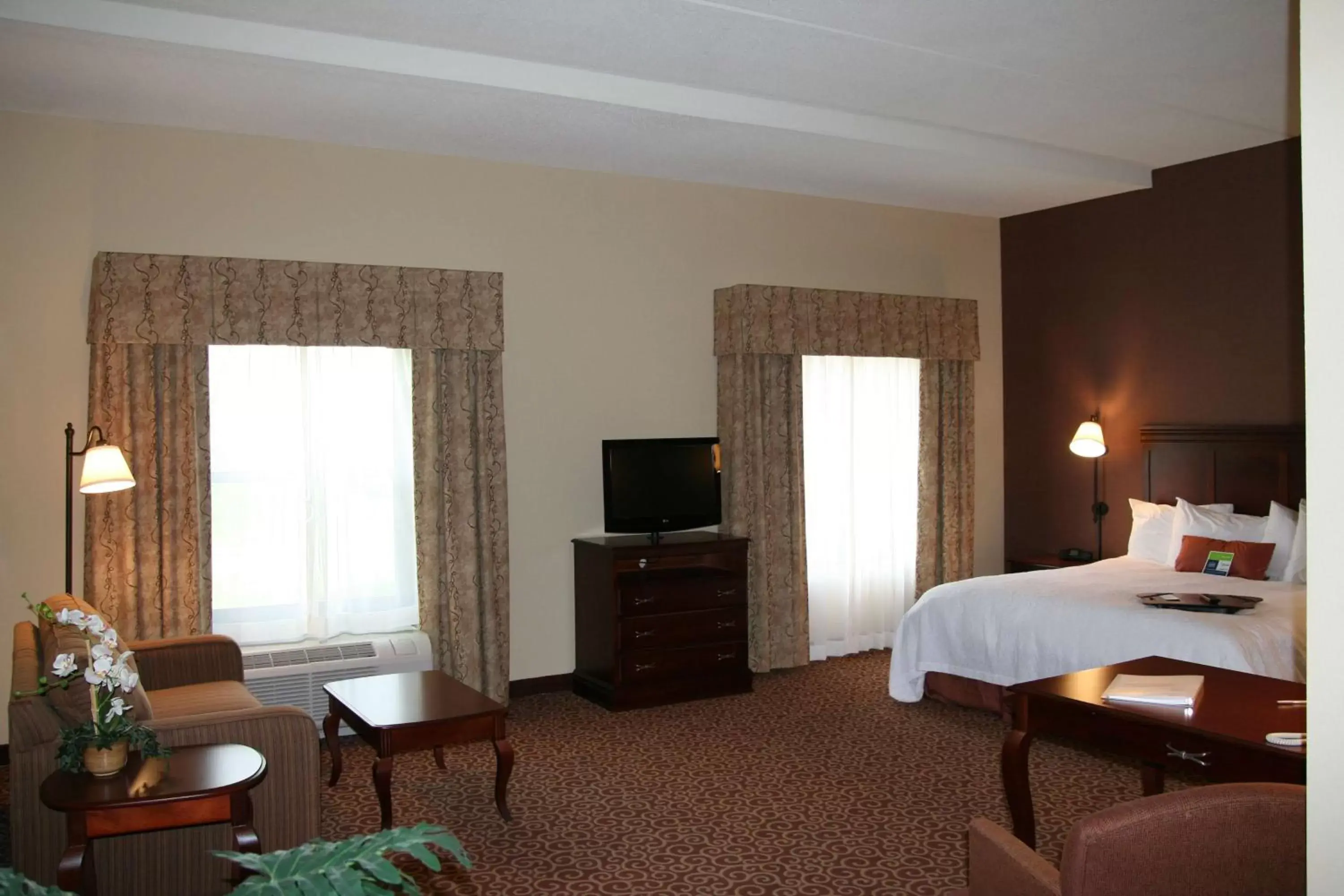 Bed, TV/Entertainment Center in Hampton Inn & Suites Brookings