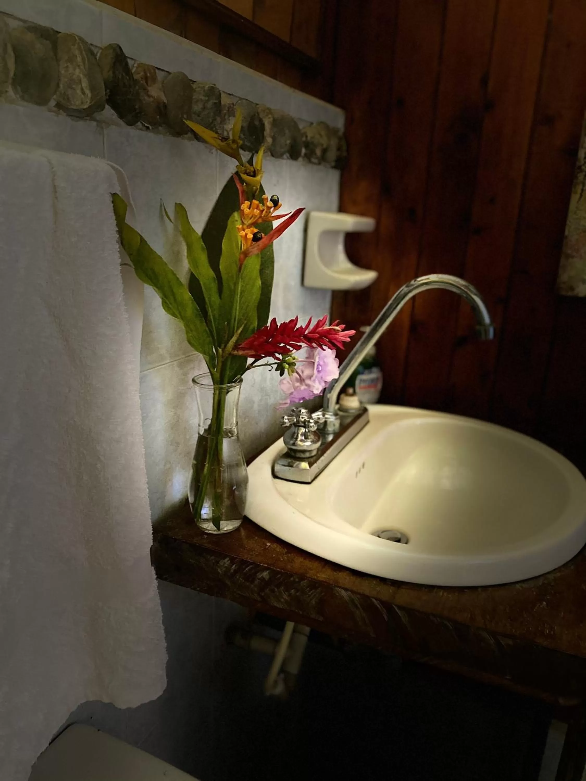 Bathroom in Posada Turística Rocas De Cabo Marzo