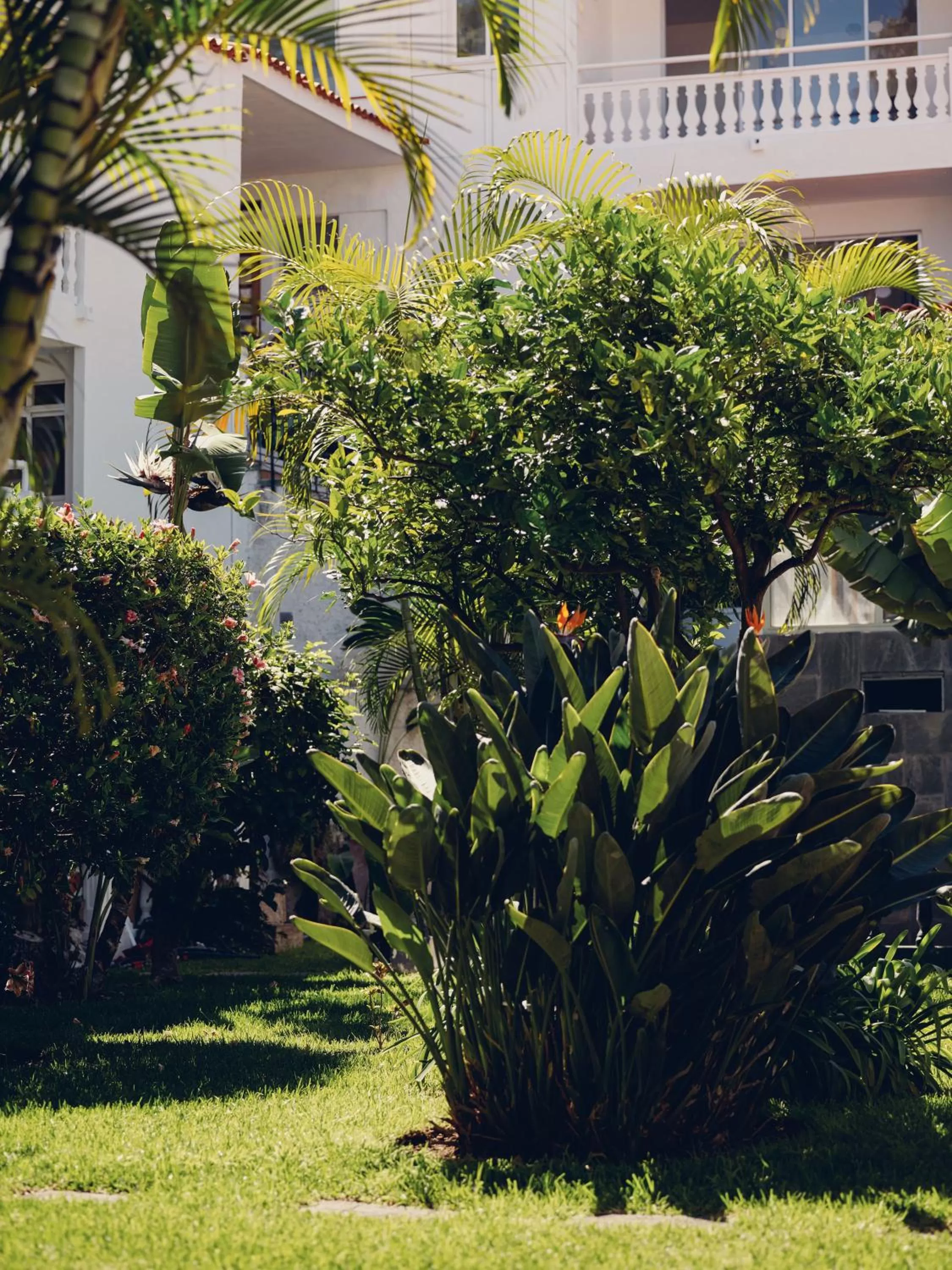 Garden in Route Active Hotel