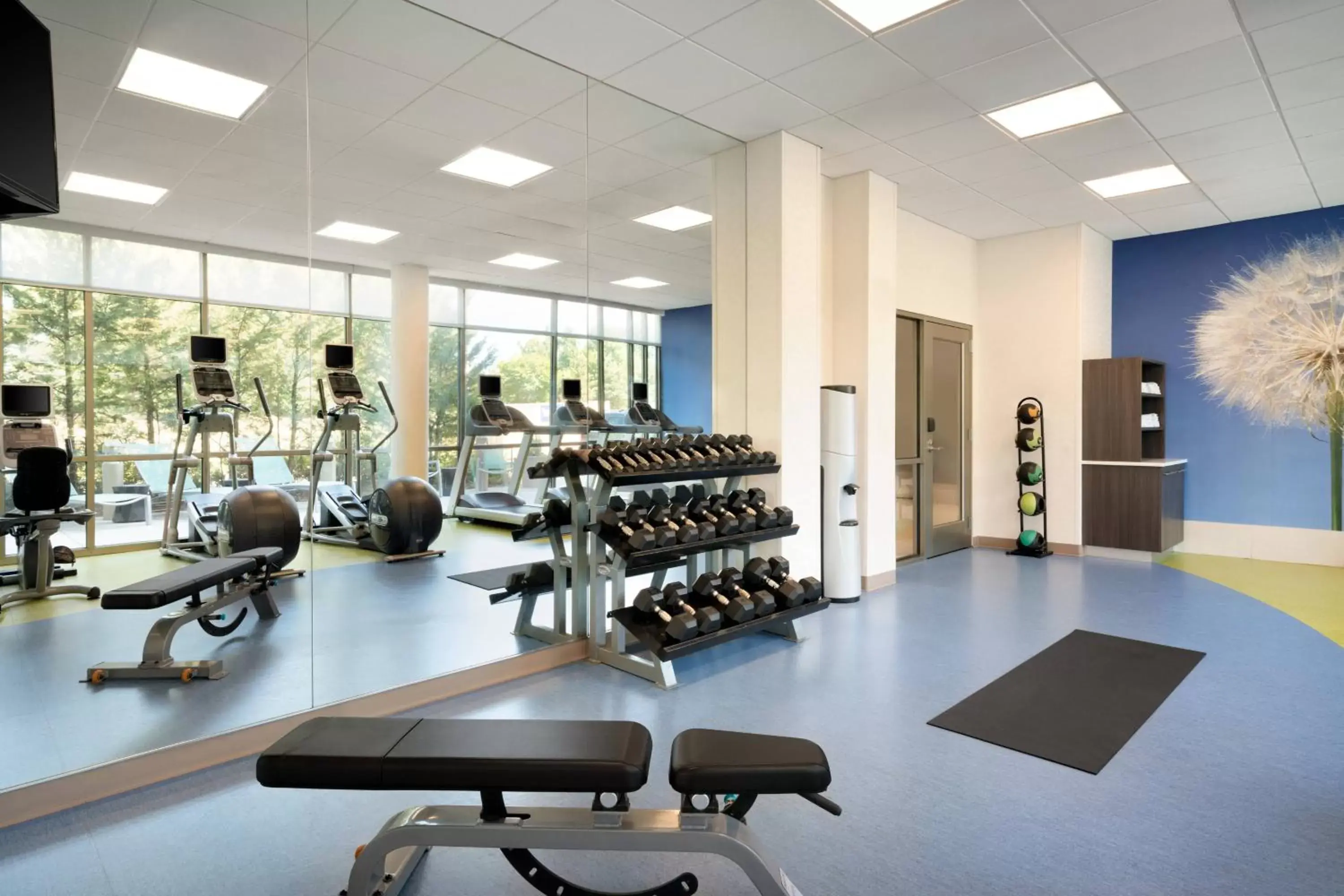 Fitness centre/facilities, Fitness Center/Facilities in SpringHill Suites Ewing Township Princeton South