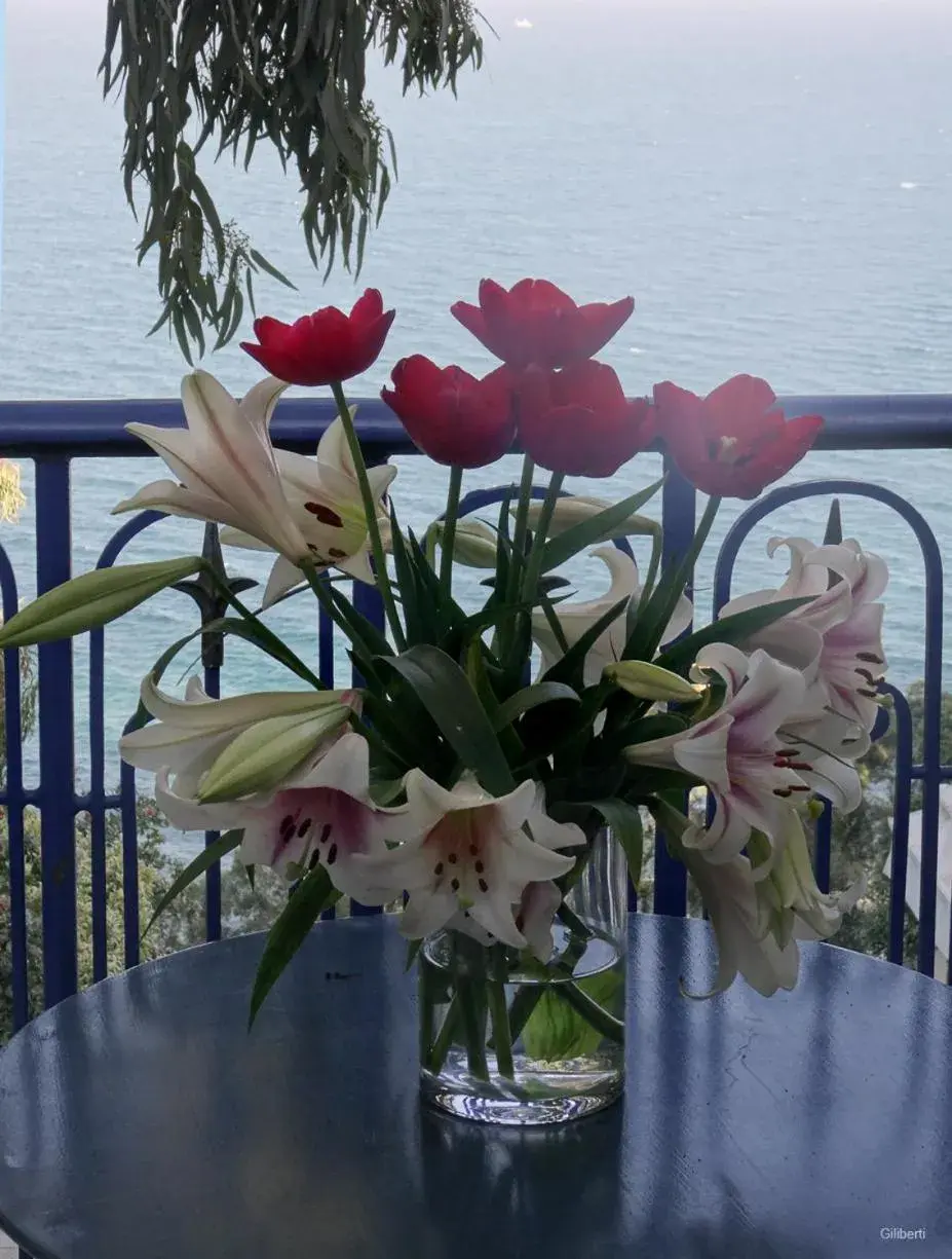 Balcony/Terrace in La Villa Bleue