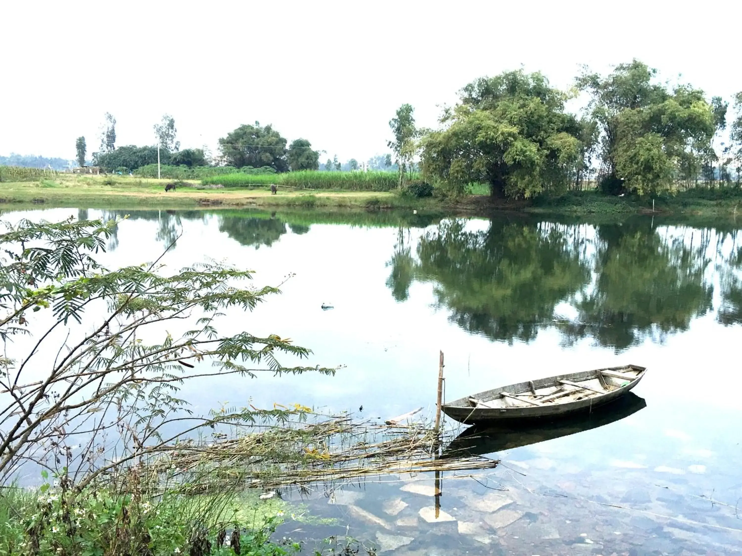 Nearby landmark, Lake View in Riverside Hamlet Homestay & Villa