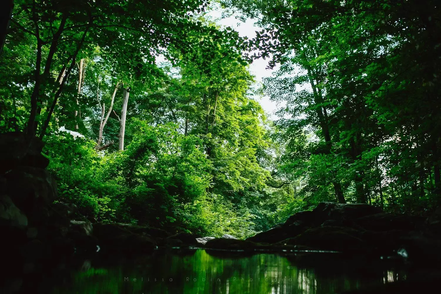 Natural Landscape in Beacon Hermitage