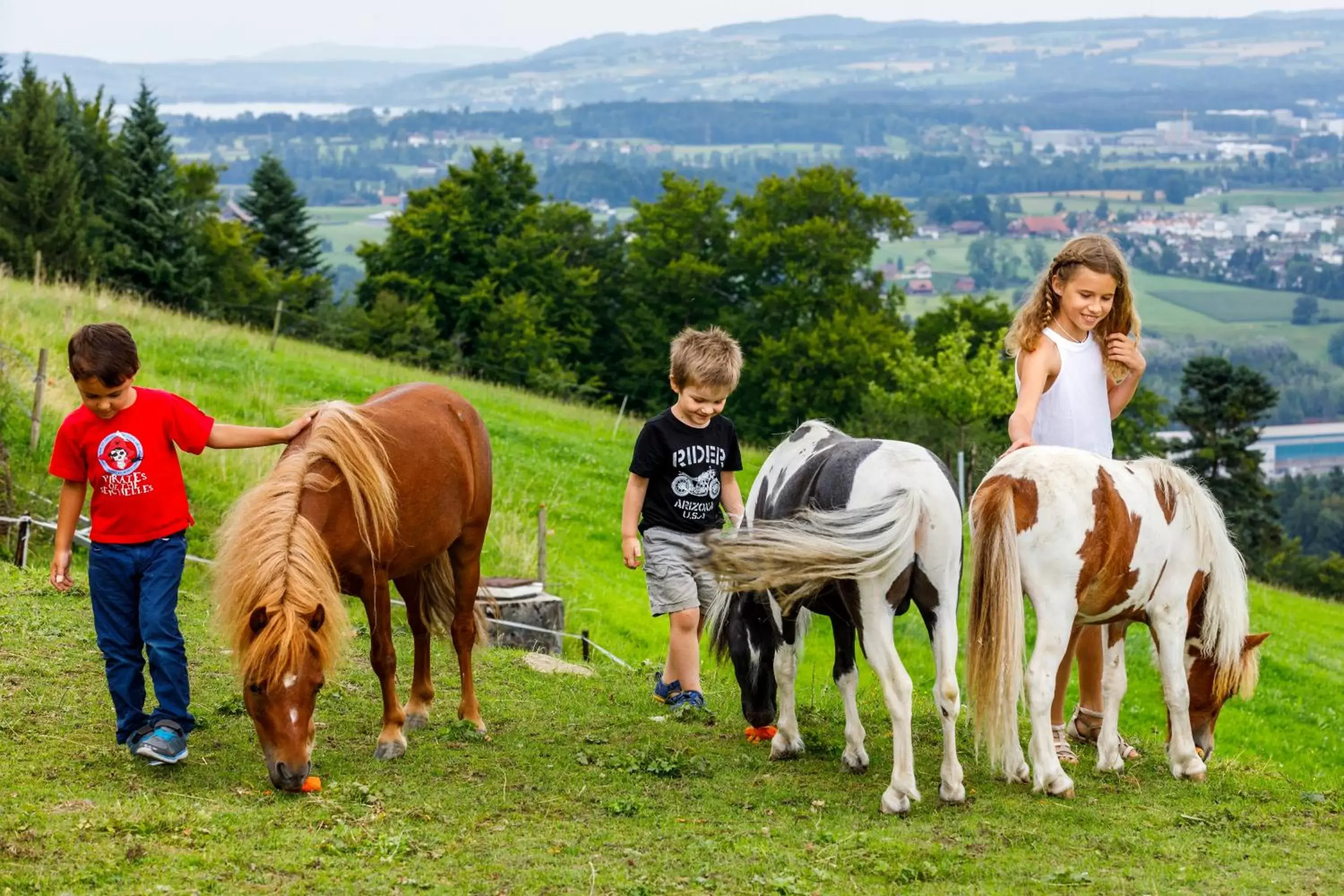 Pets in Hotel Sonnenberg