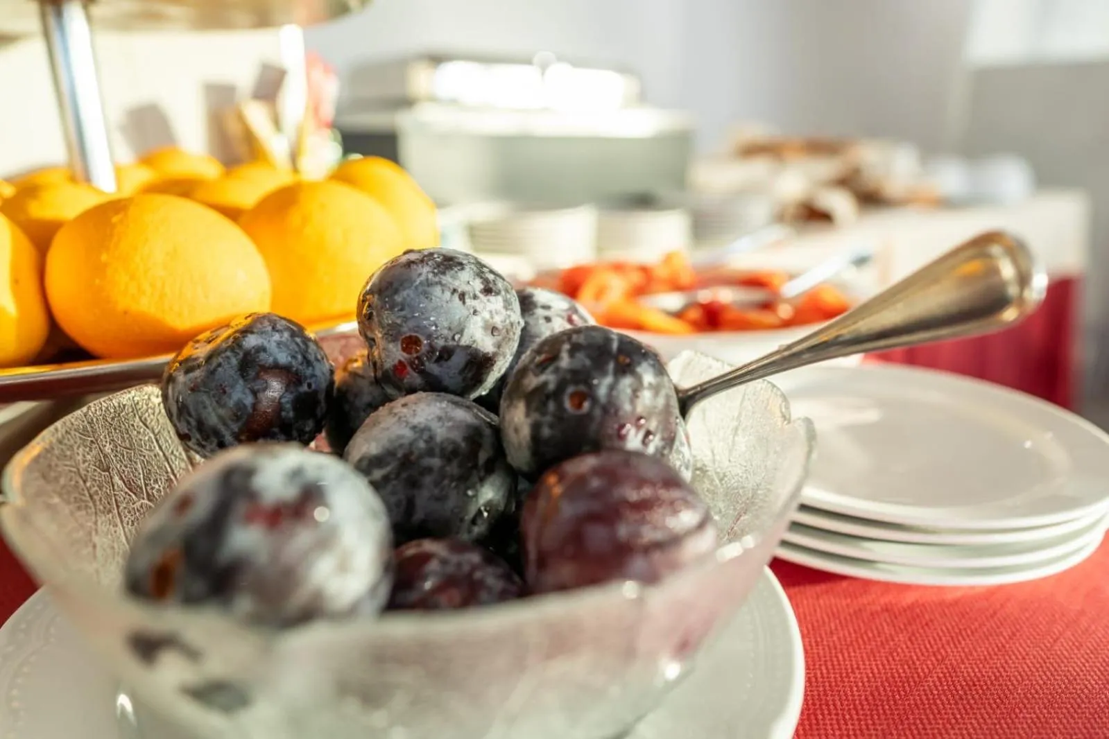 Food and drinks in Hotel Corallo