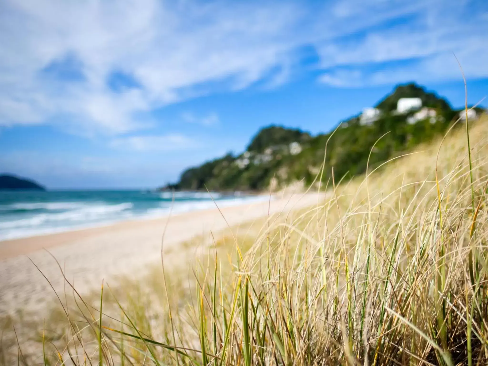 Beach in Tairua Shores Motel