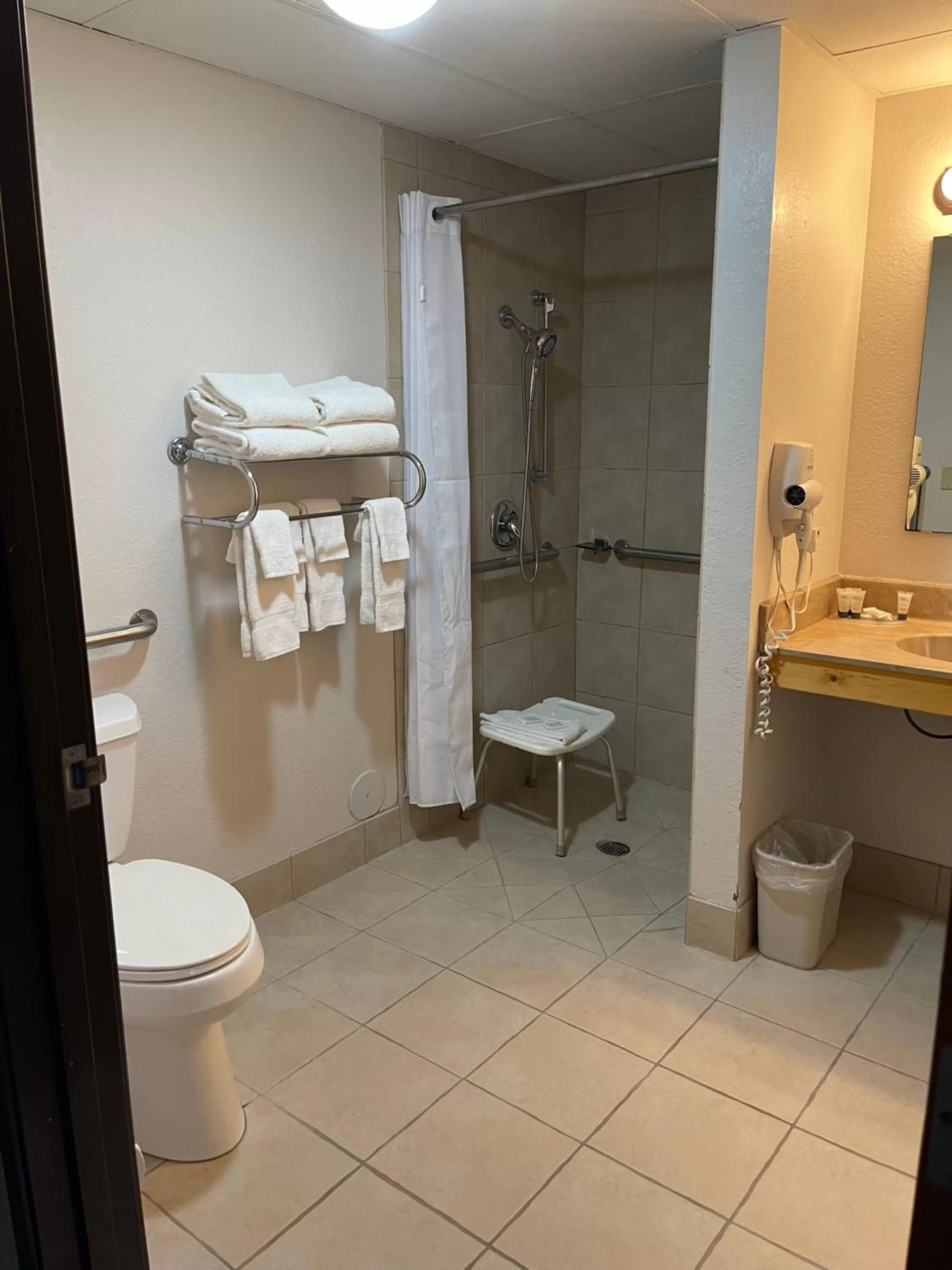 Shower in Walker Hotel