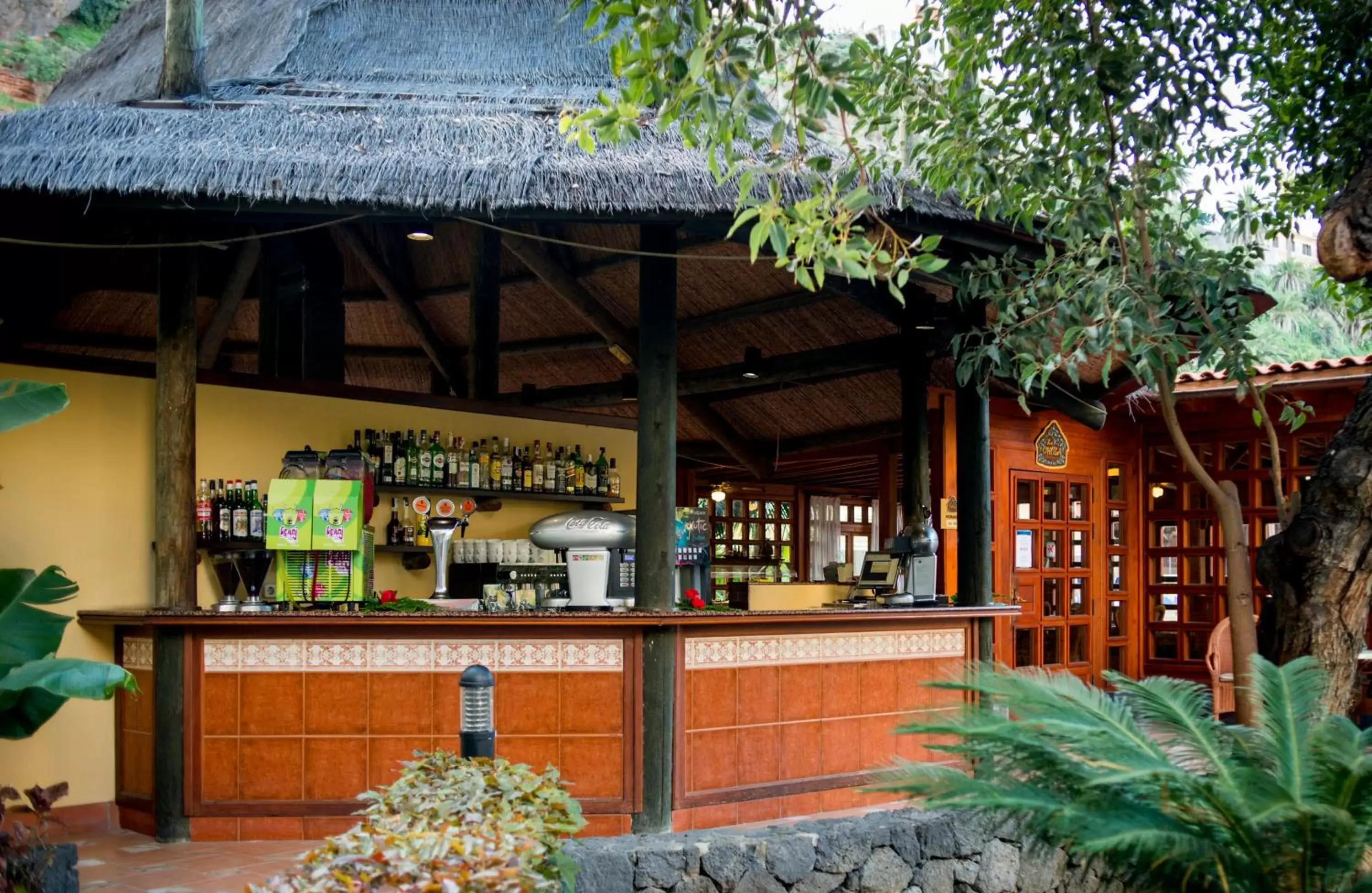 Day, Lounge/Bar in Bahia Principe Sunlight San Felipe